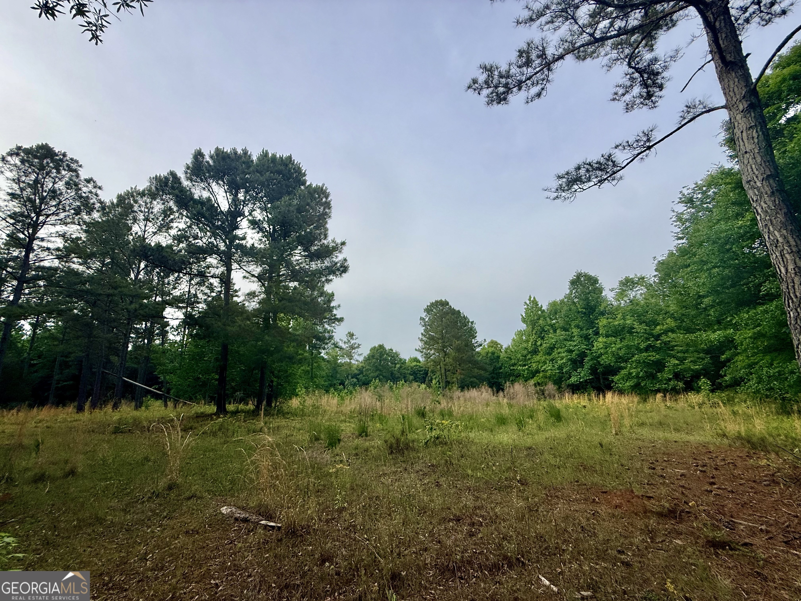 715 Fulsome Creek Road Property Photo 48
