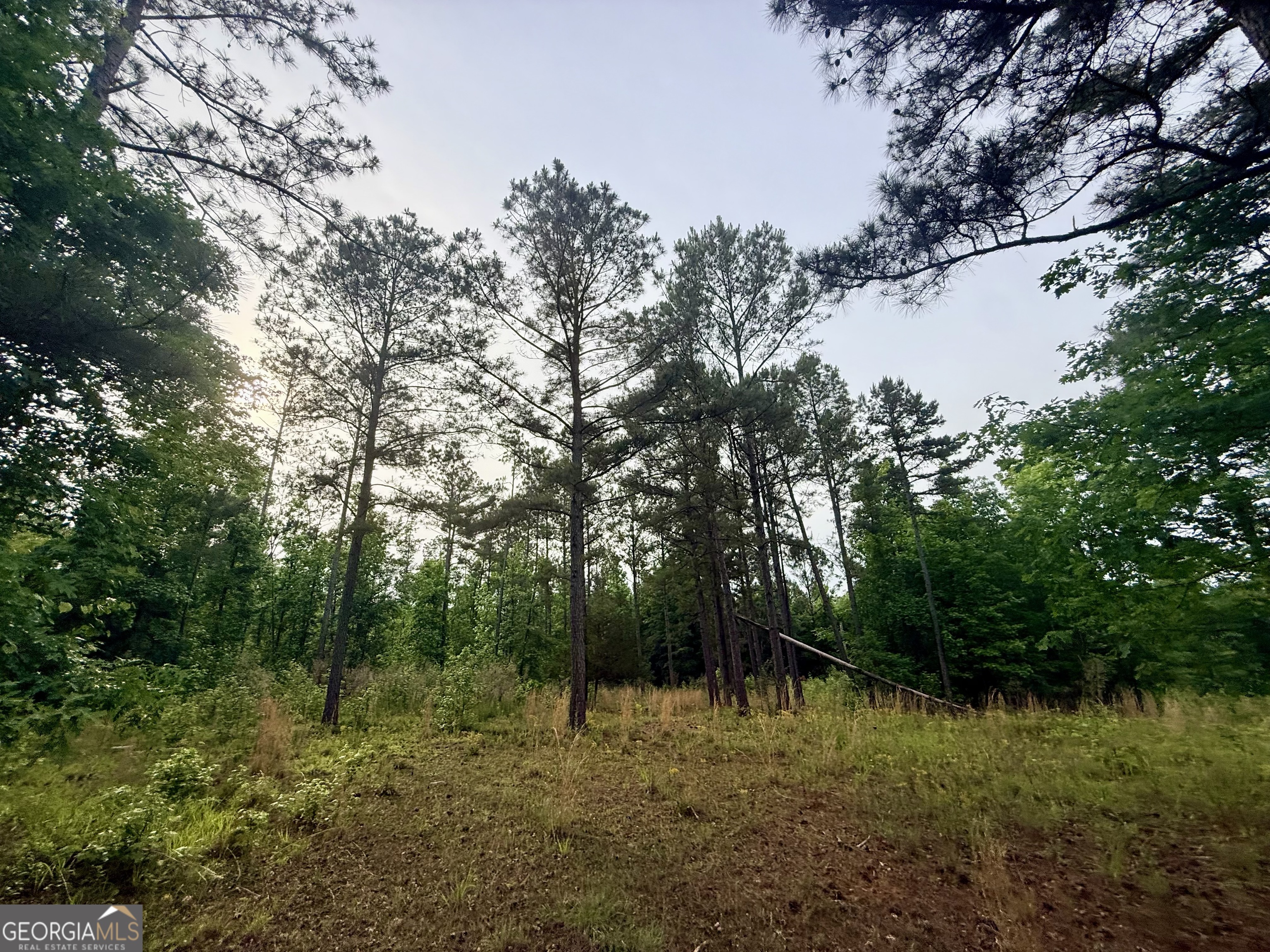 715 Fulsome Creek Road Property Photo 50