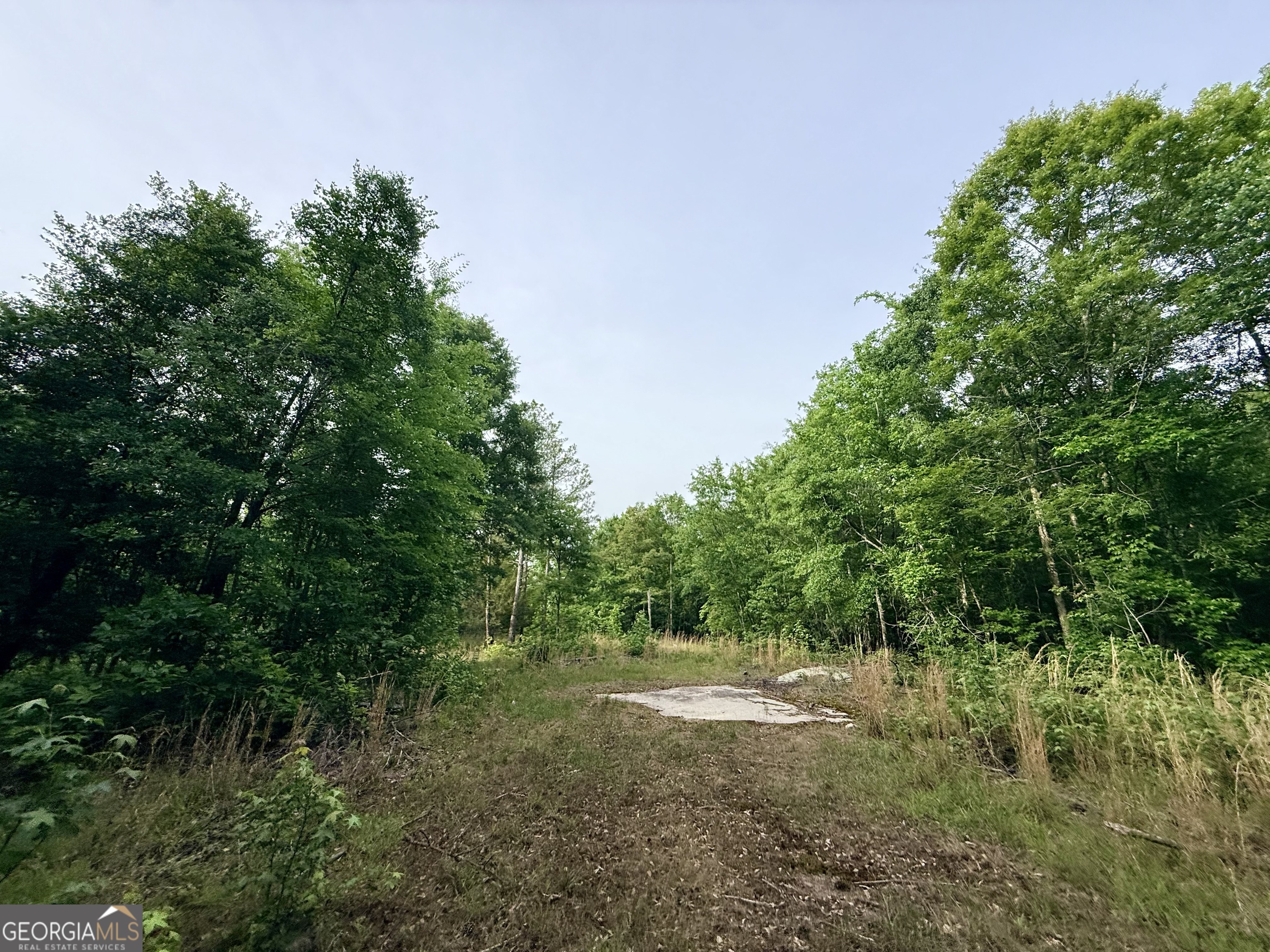 715 Fulsome Creek Road Property Photo 53