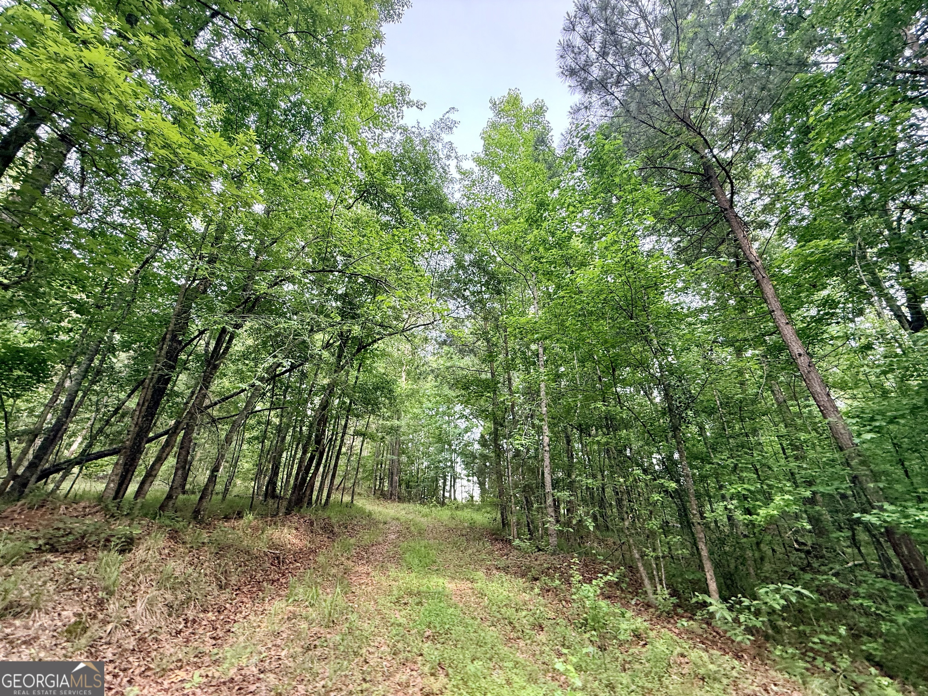 715 Fulsome Creek Road Property Photo 54