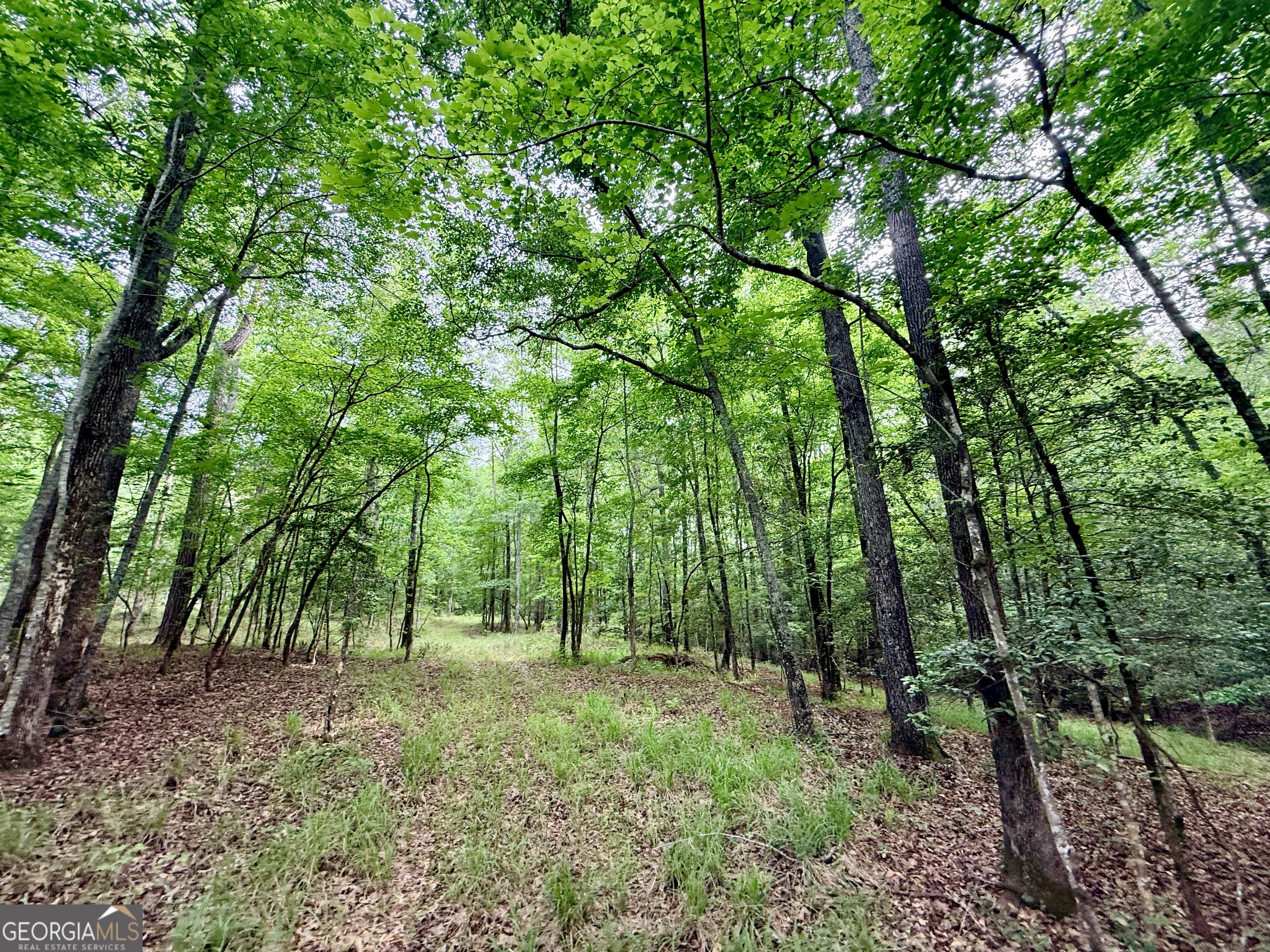 715 Fulsome Creek Road Property Photo 62