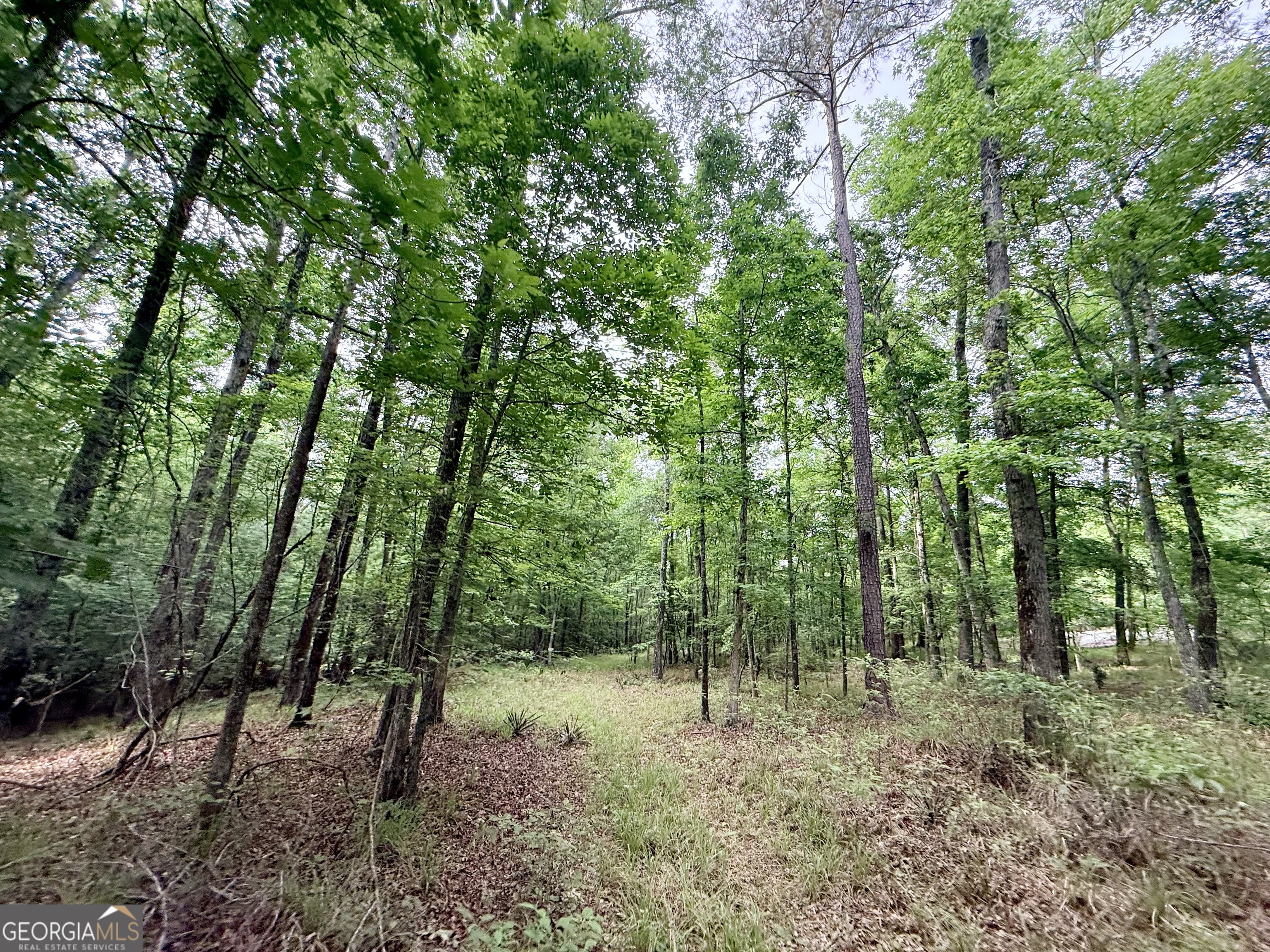 715 Fulsome Creek Road Property Photo 63