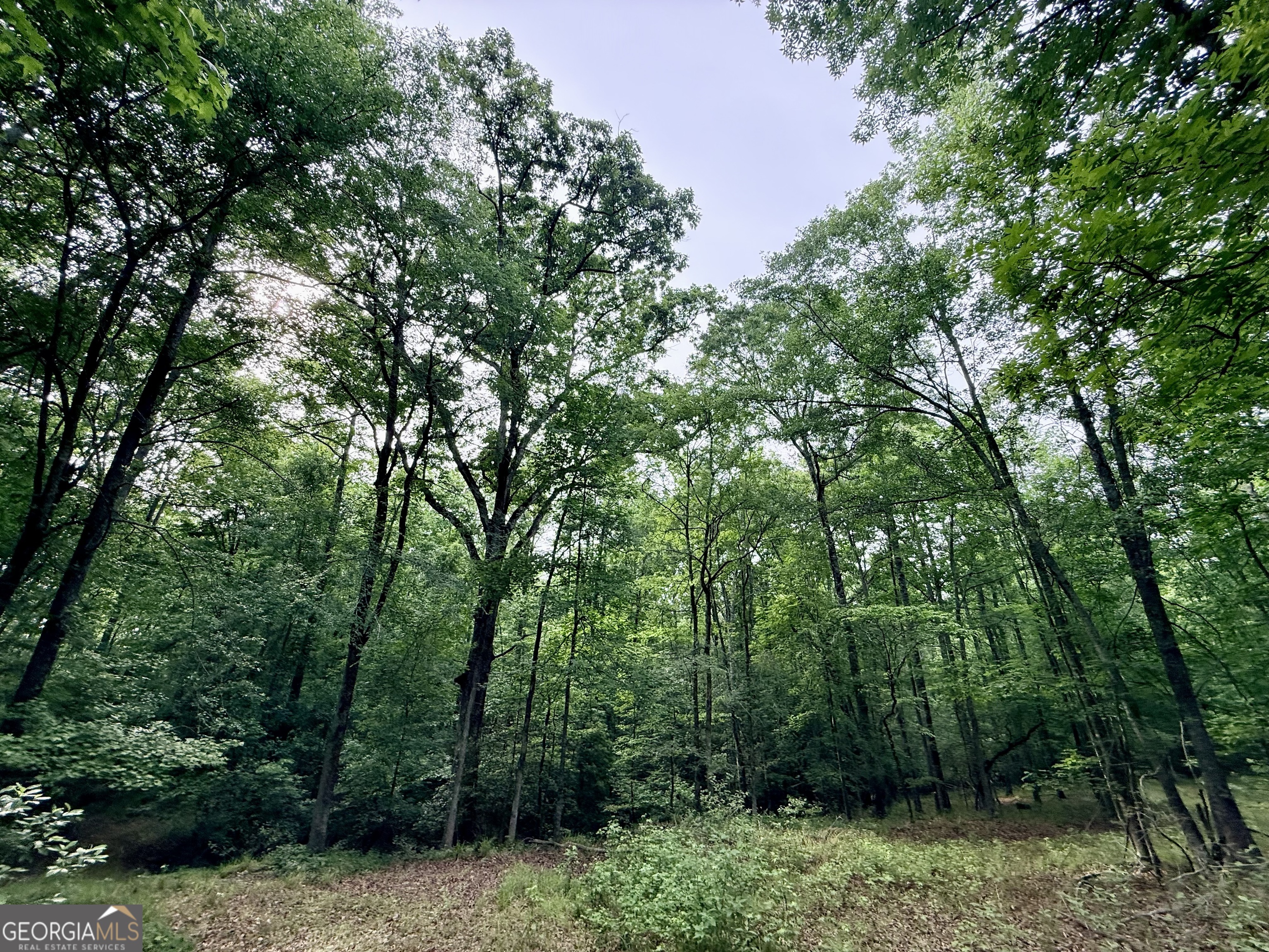 715 Fulsome Creek Road Property Photo 64