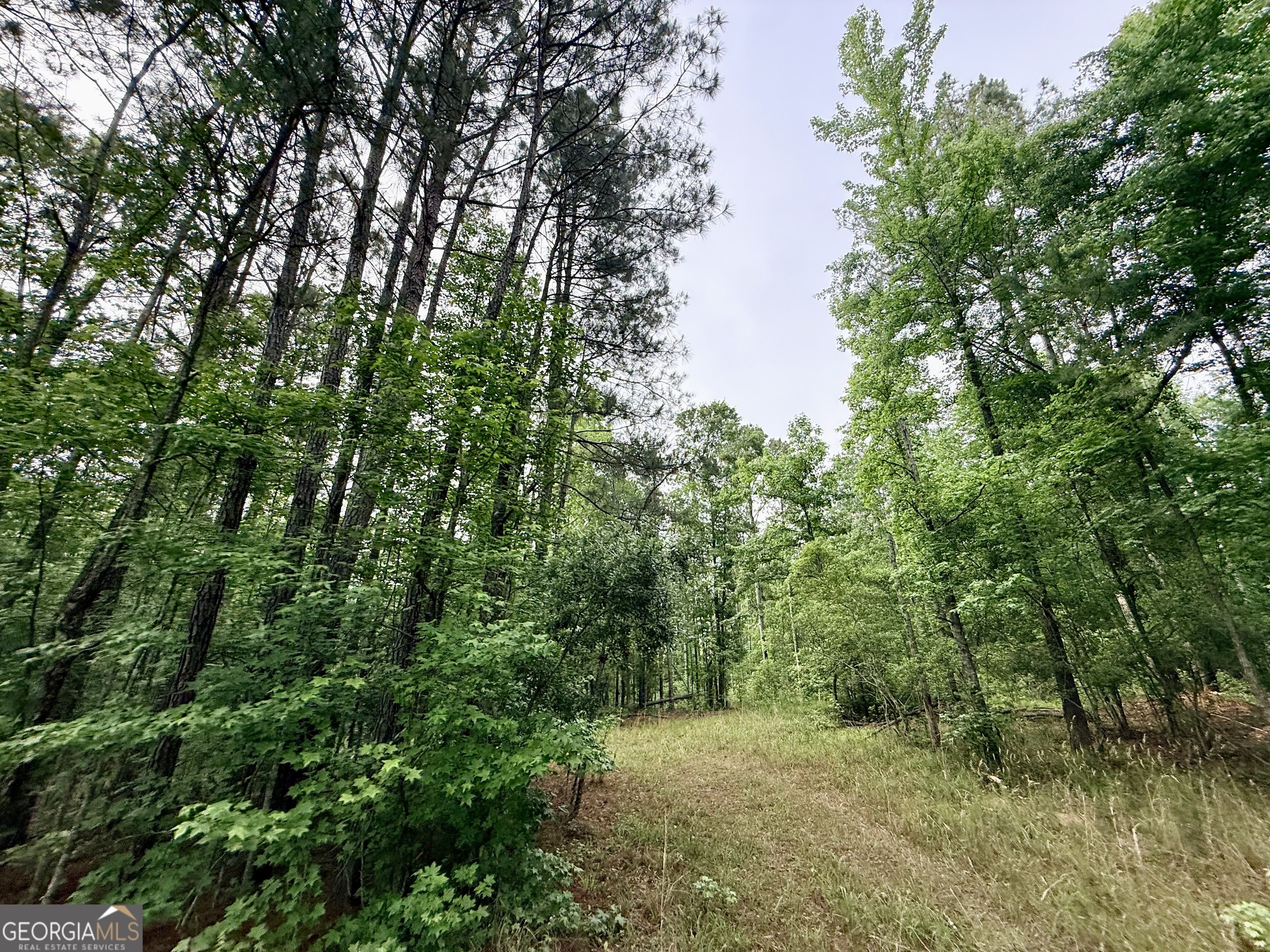 715 Fulsome Creek Road Property Photo 65