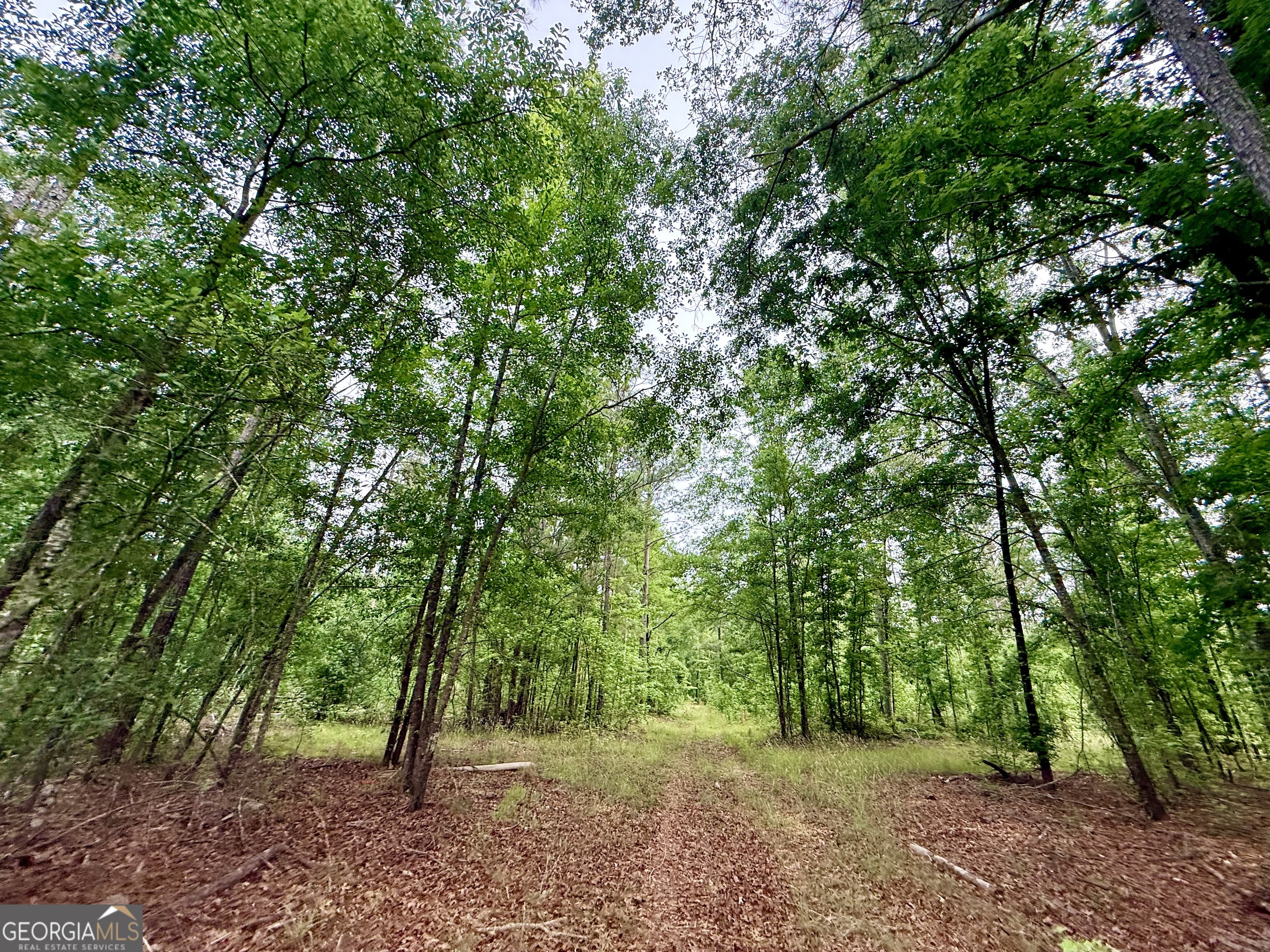 715 Fulsome Creek Road Property Photo 67