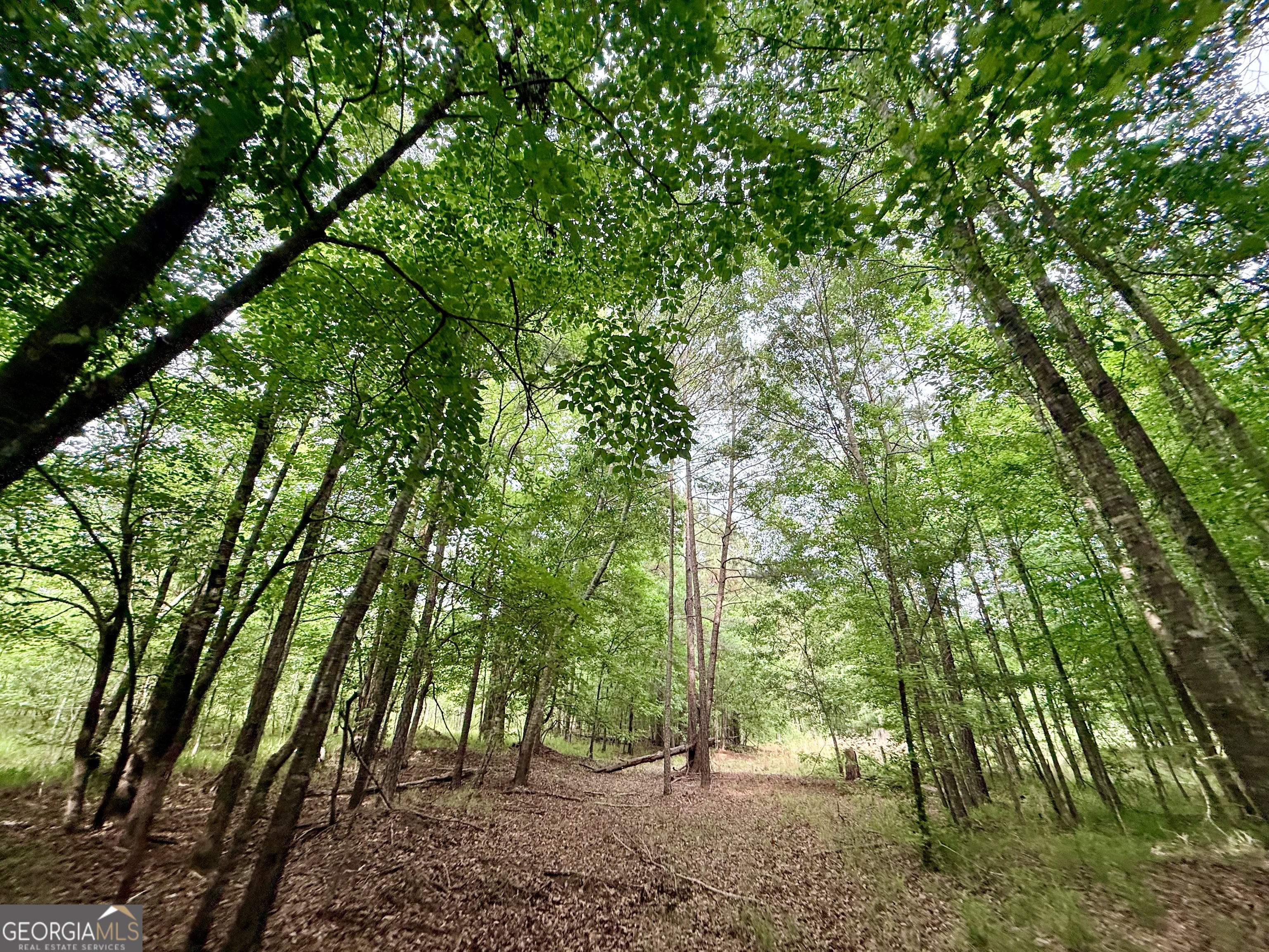 715 Fulsome Creek Road Property Photo 68