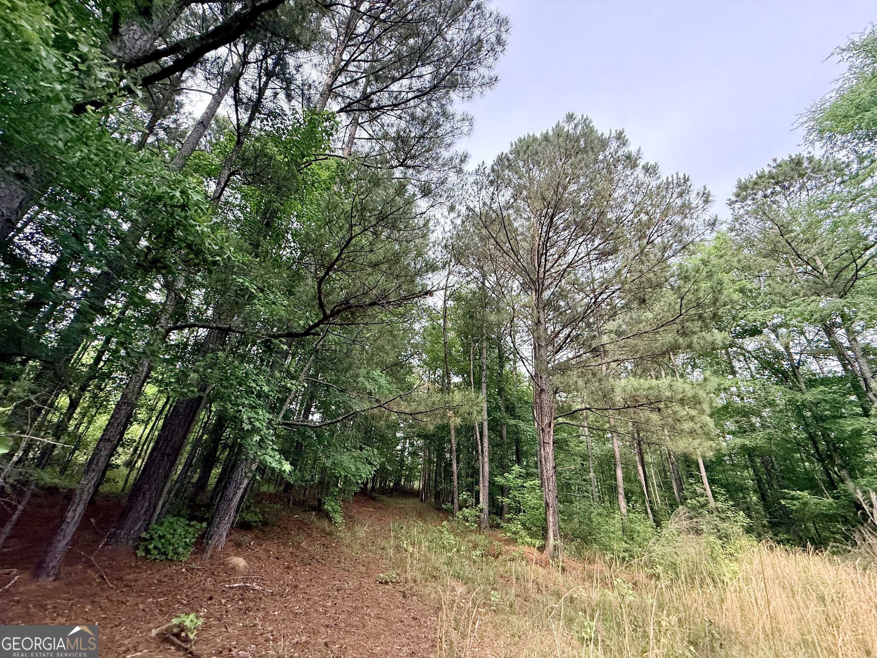 715 Fulsome Creek Road Property Photo 70