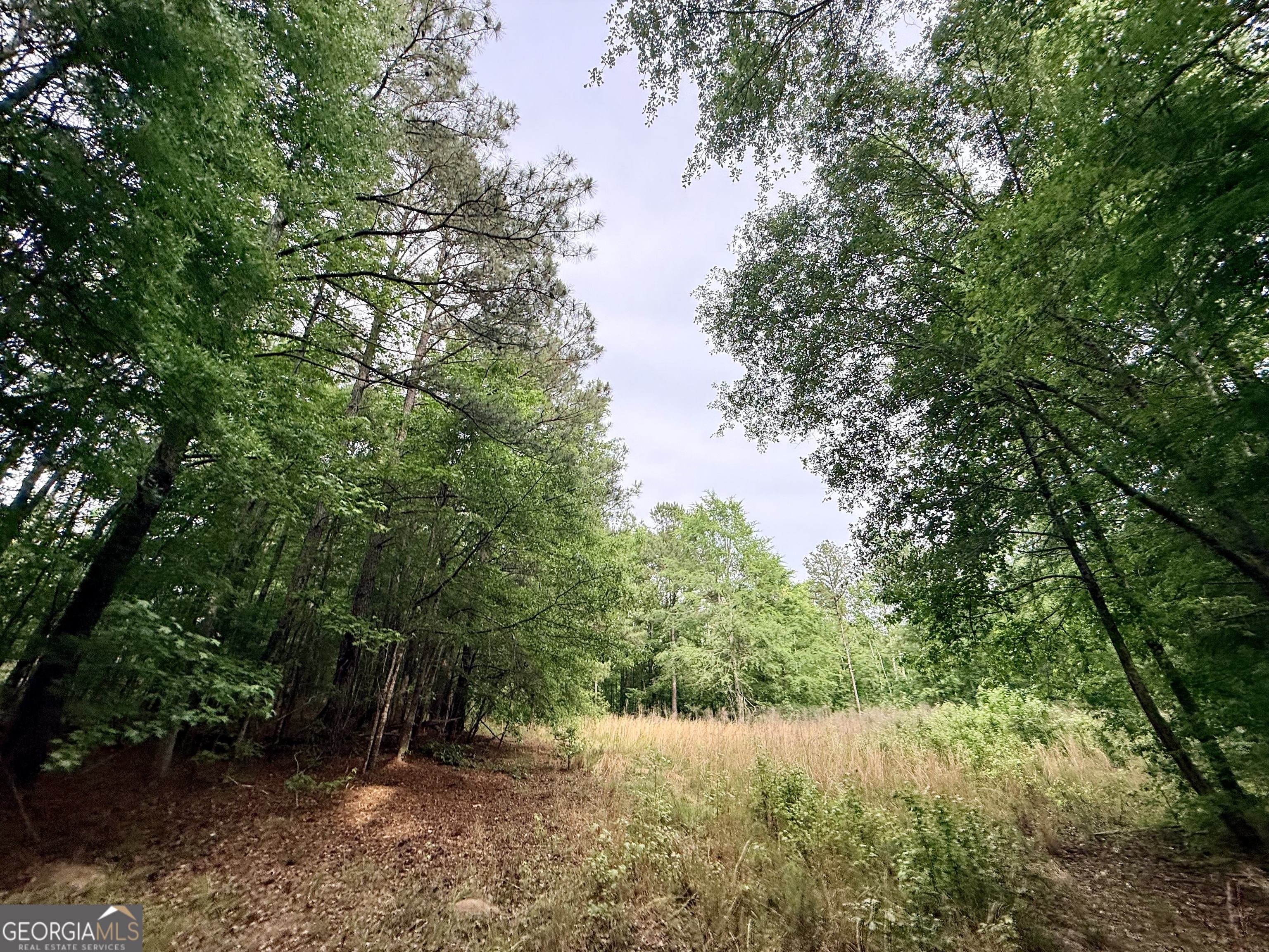 715 Fulsome Creek Road Property Photo 71