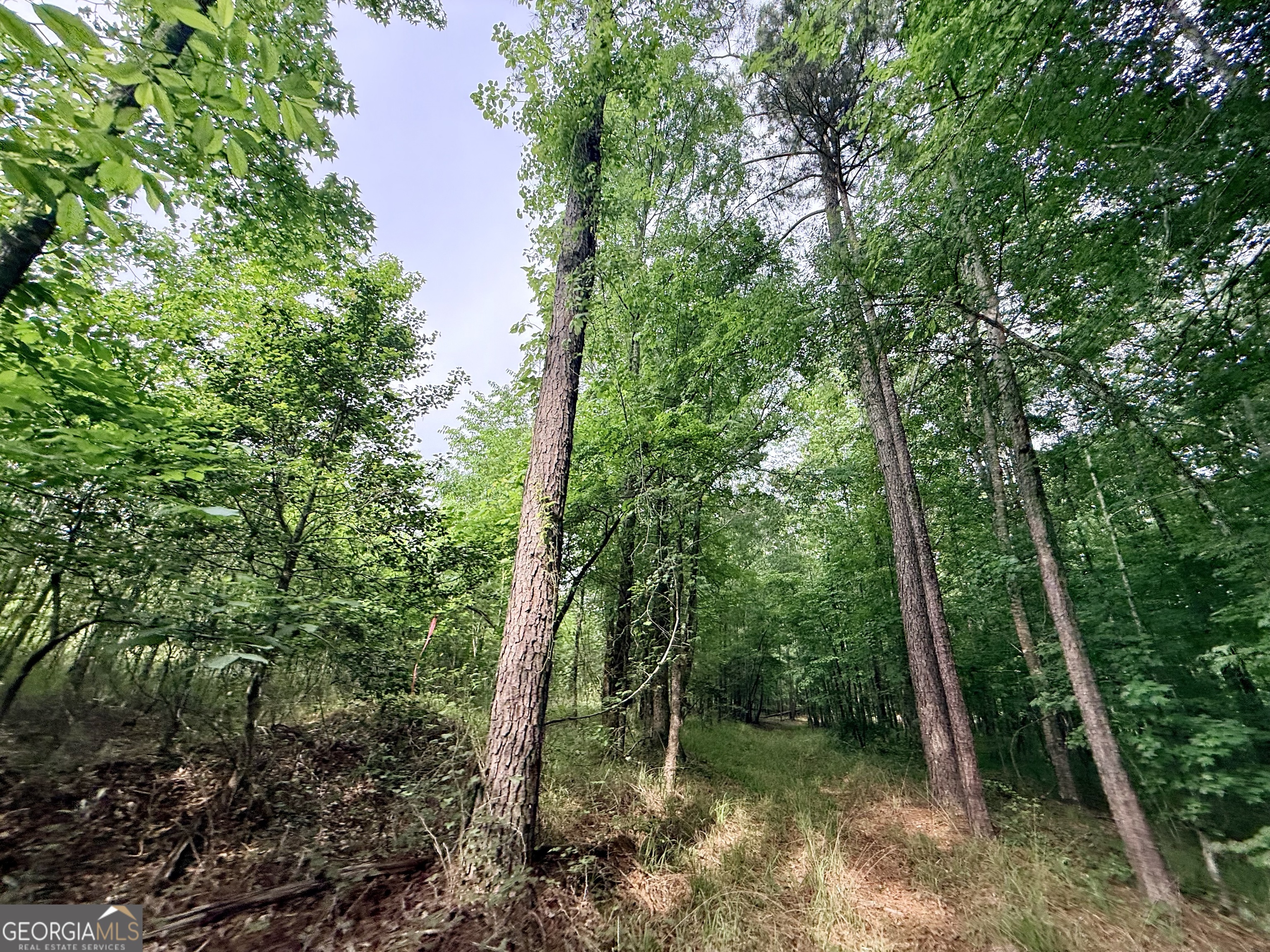 715 Fulsome Creek Road Property Photo 72