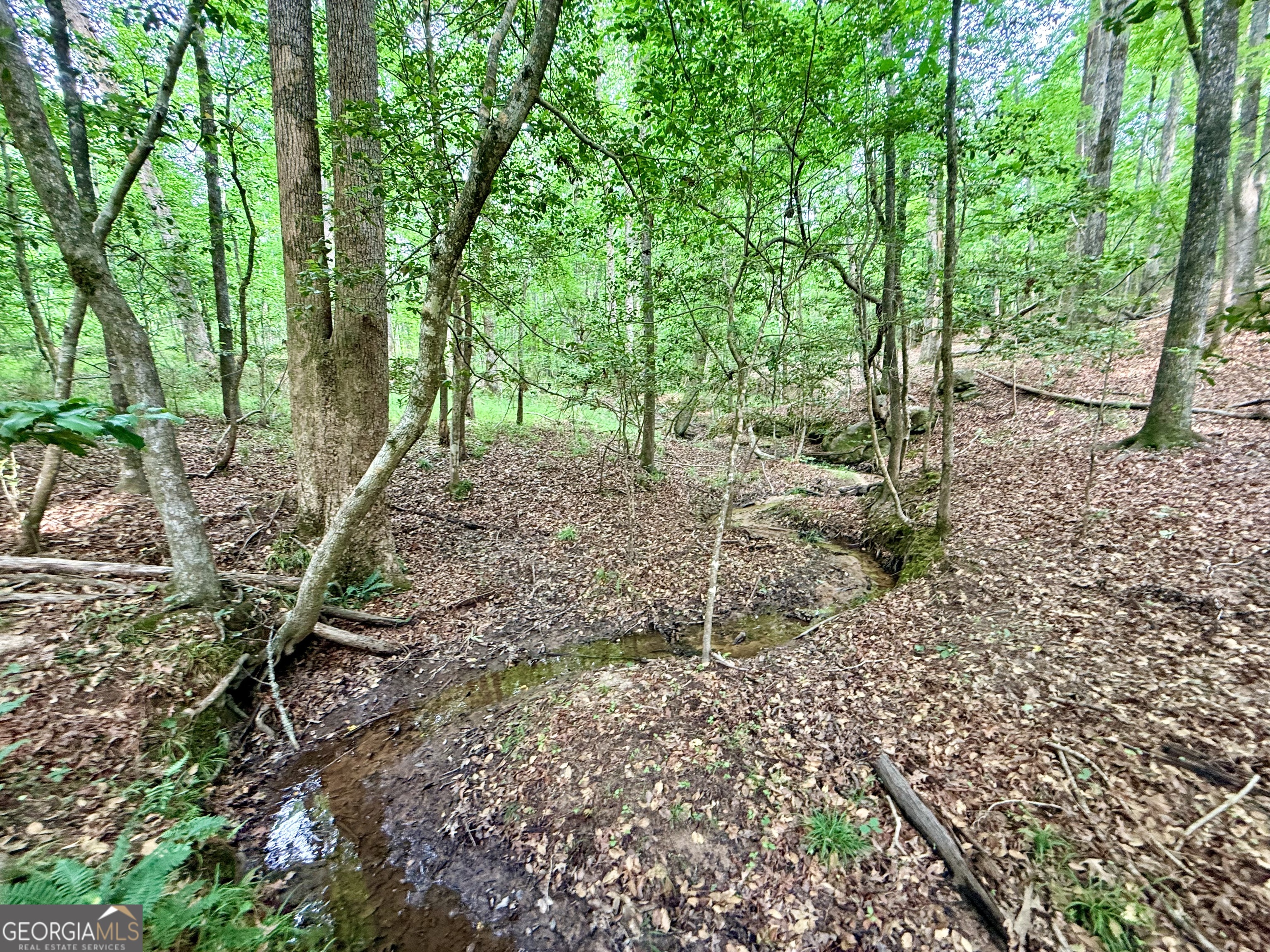 715 Fulsome Creek Road Property Photo 75