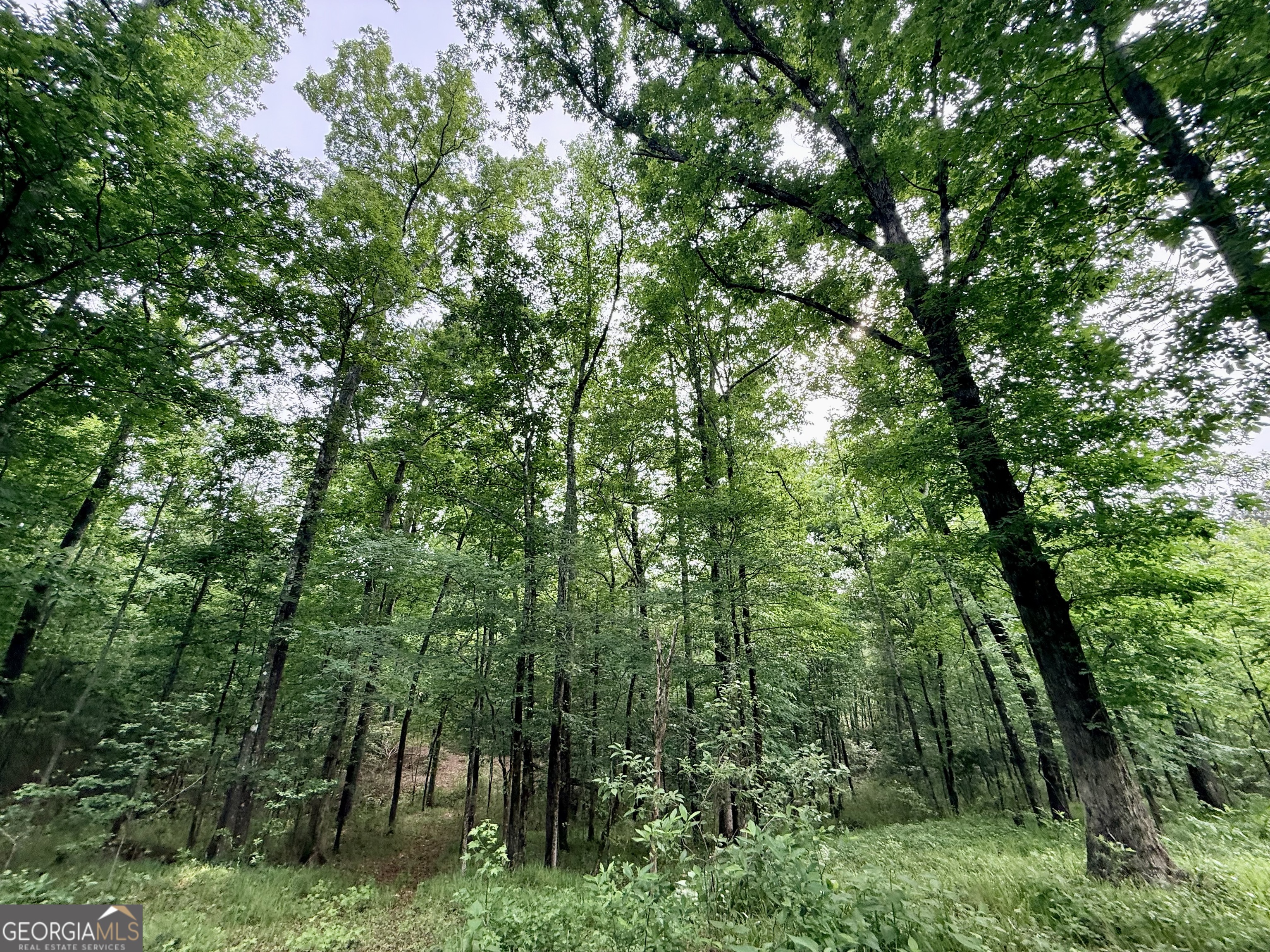 715 Fulsome Creek Road Property Photo 77
