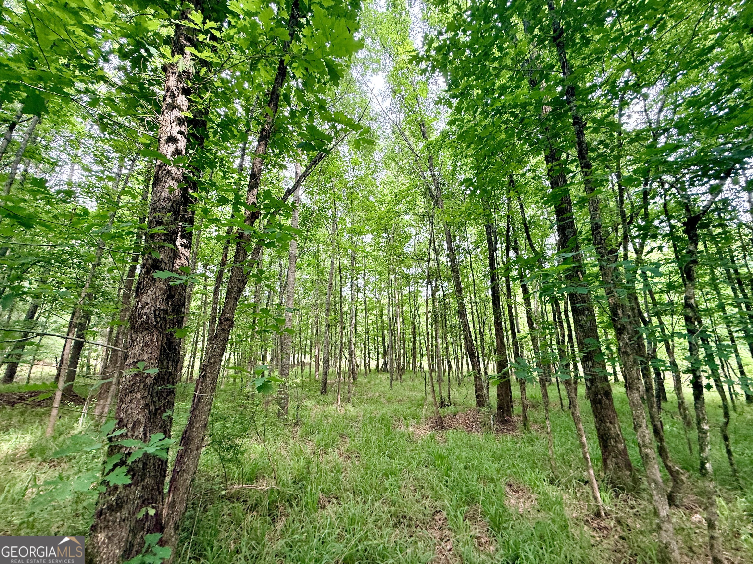 715 Fulsome Creek Road Property Photo 79