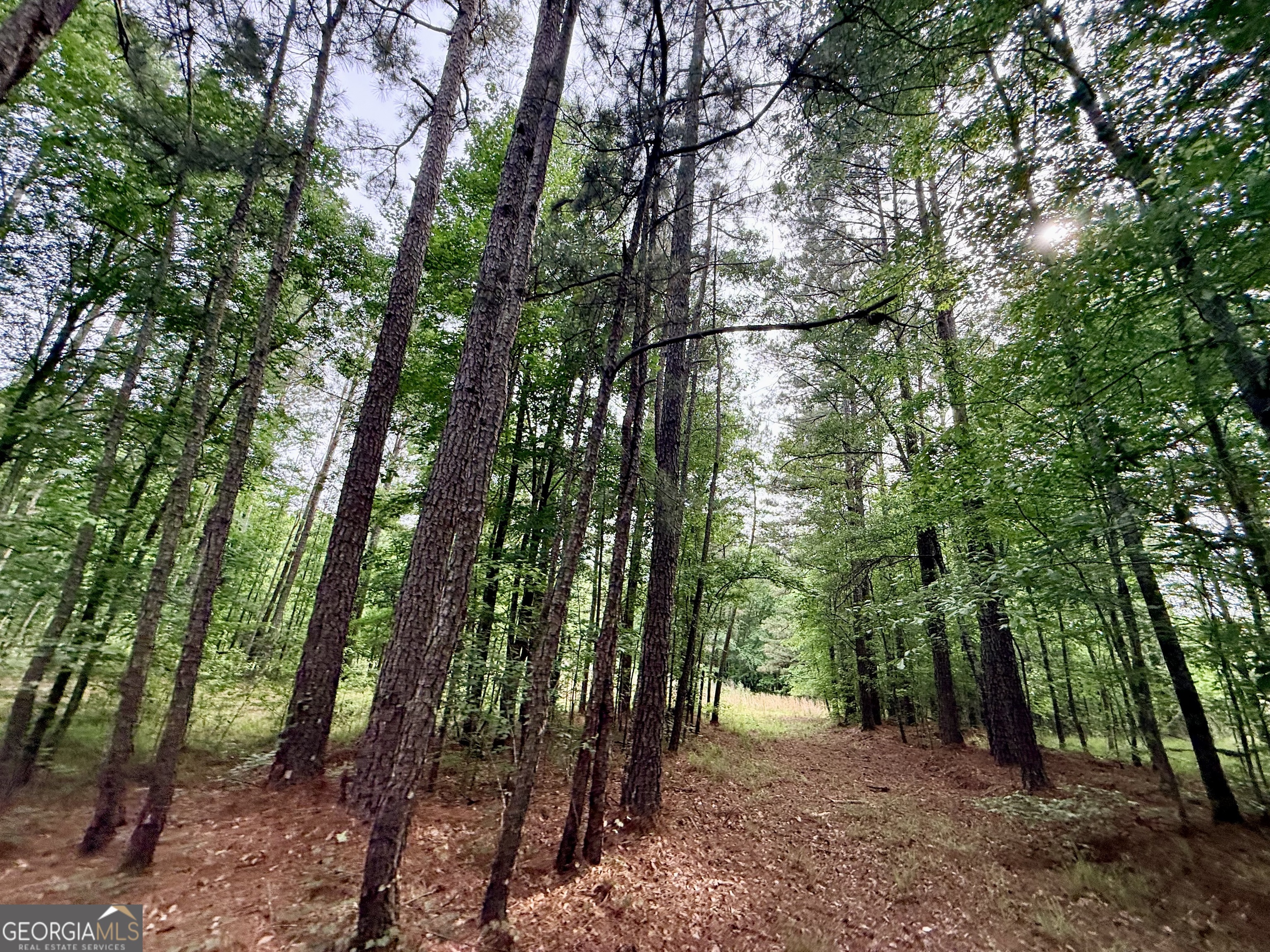 715 Fulsome Creek Road Property Photo 80