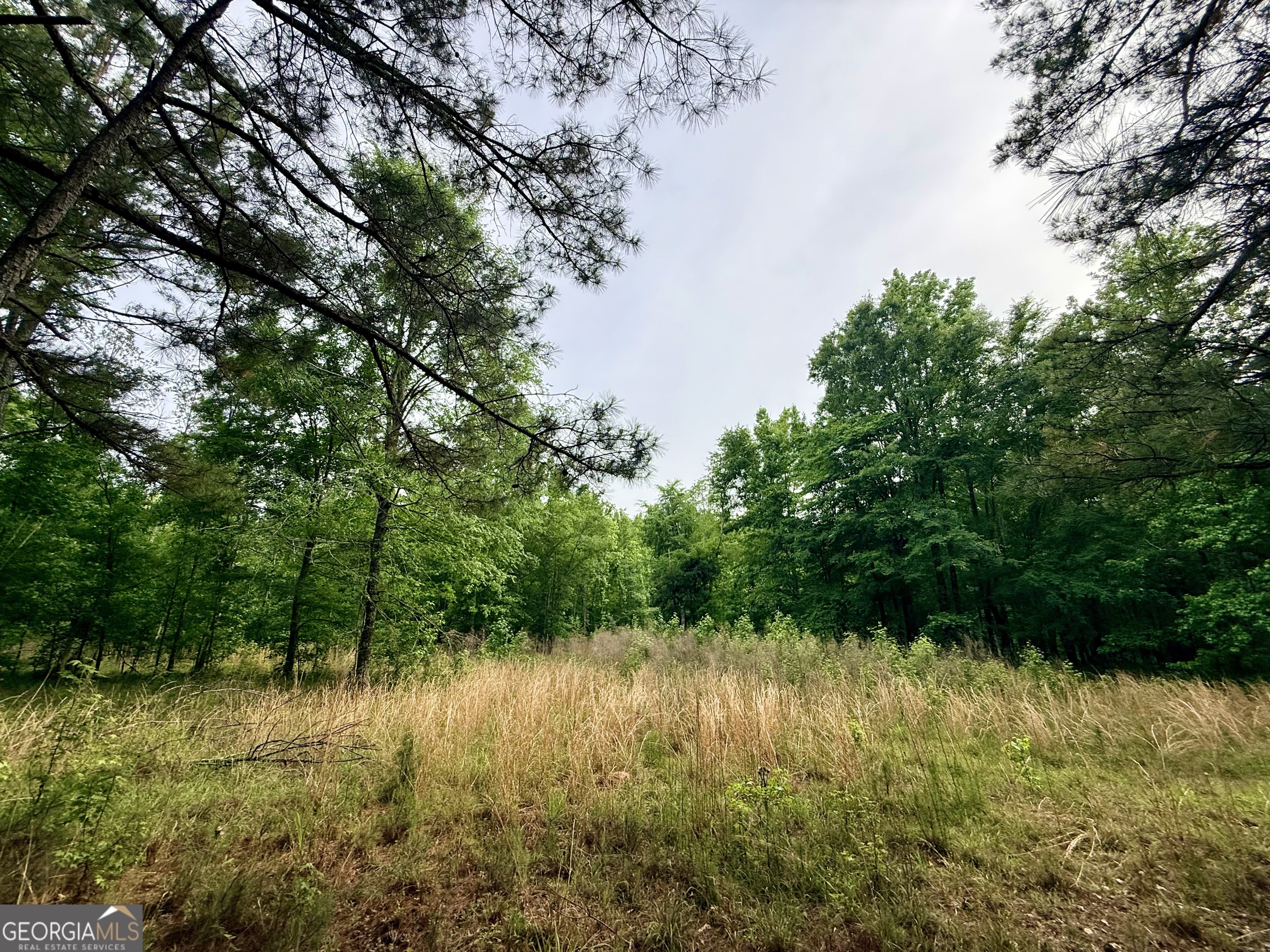 715 Fulsome Creek Road Property Photo 81