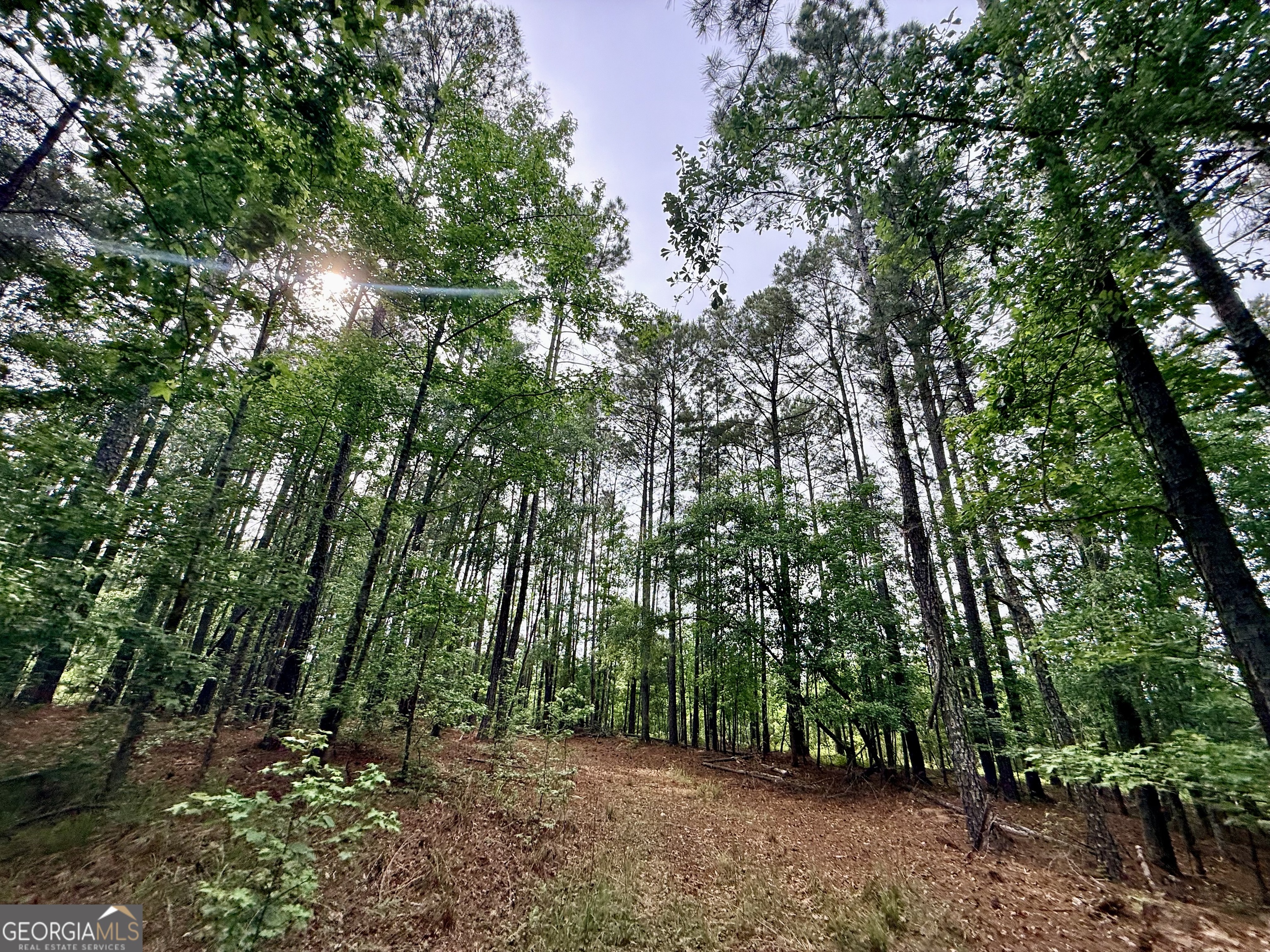 715 Fulsome Creek Road Property Photo 83