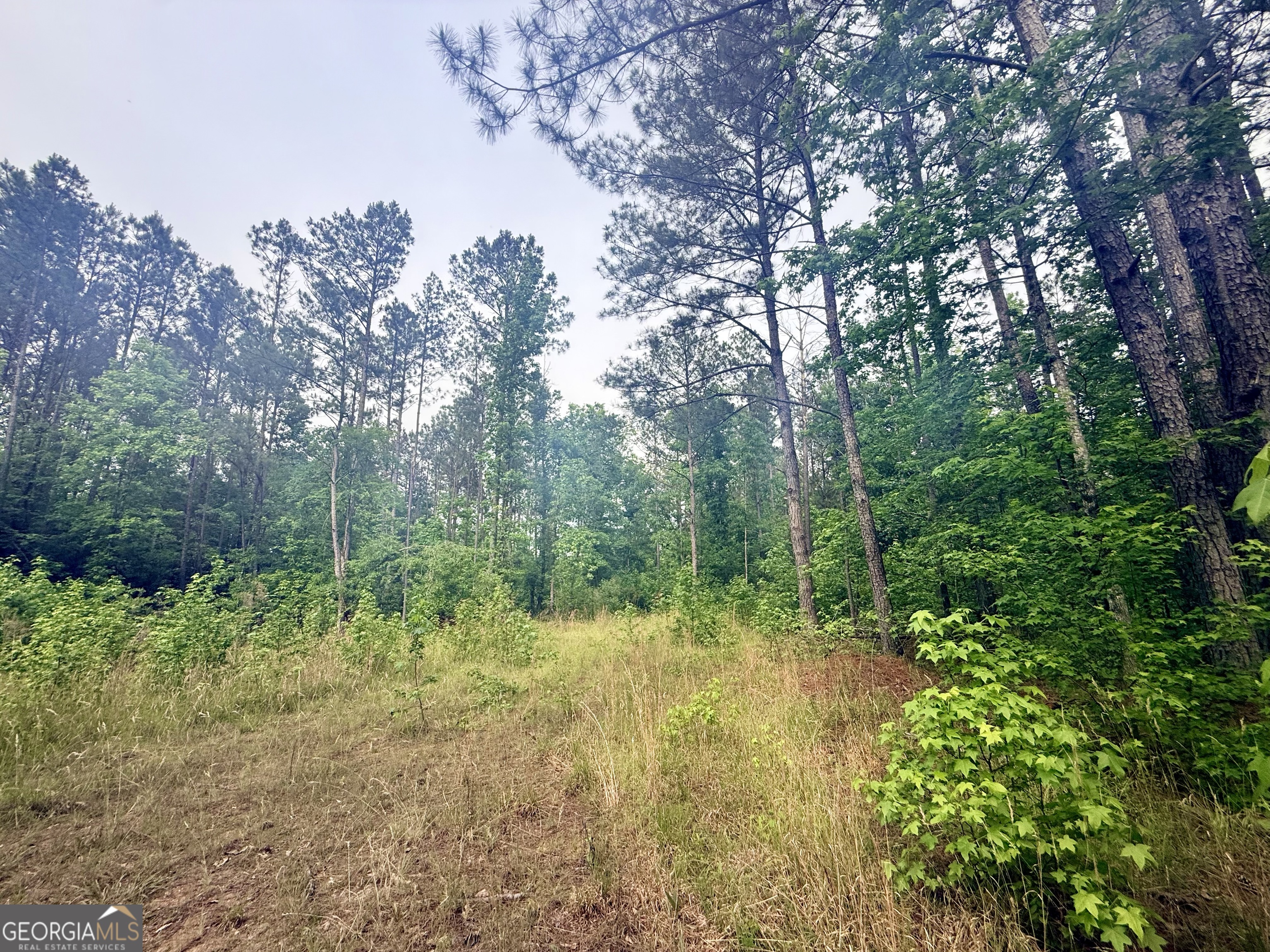 715 Fulsome Creek Road Property Photo 84