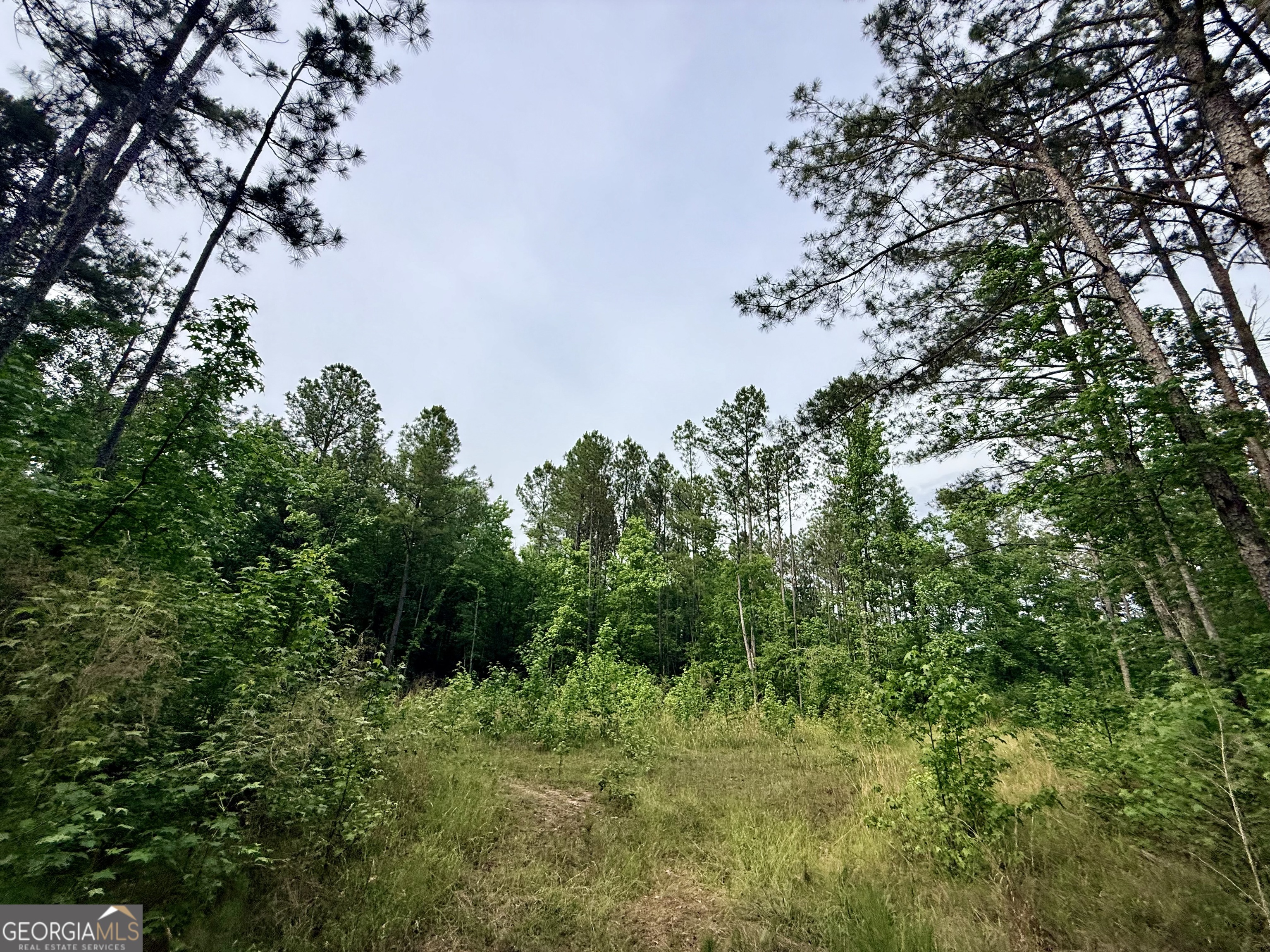 715 Fulsome Creek Road Property Photo 85