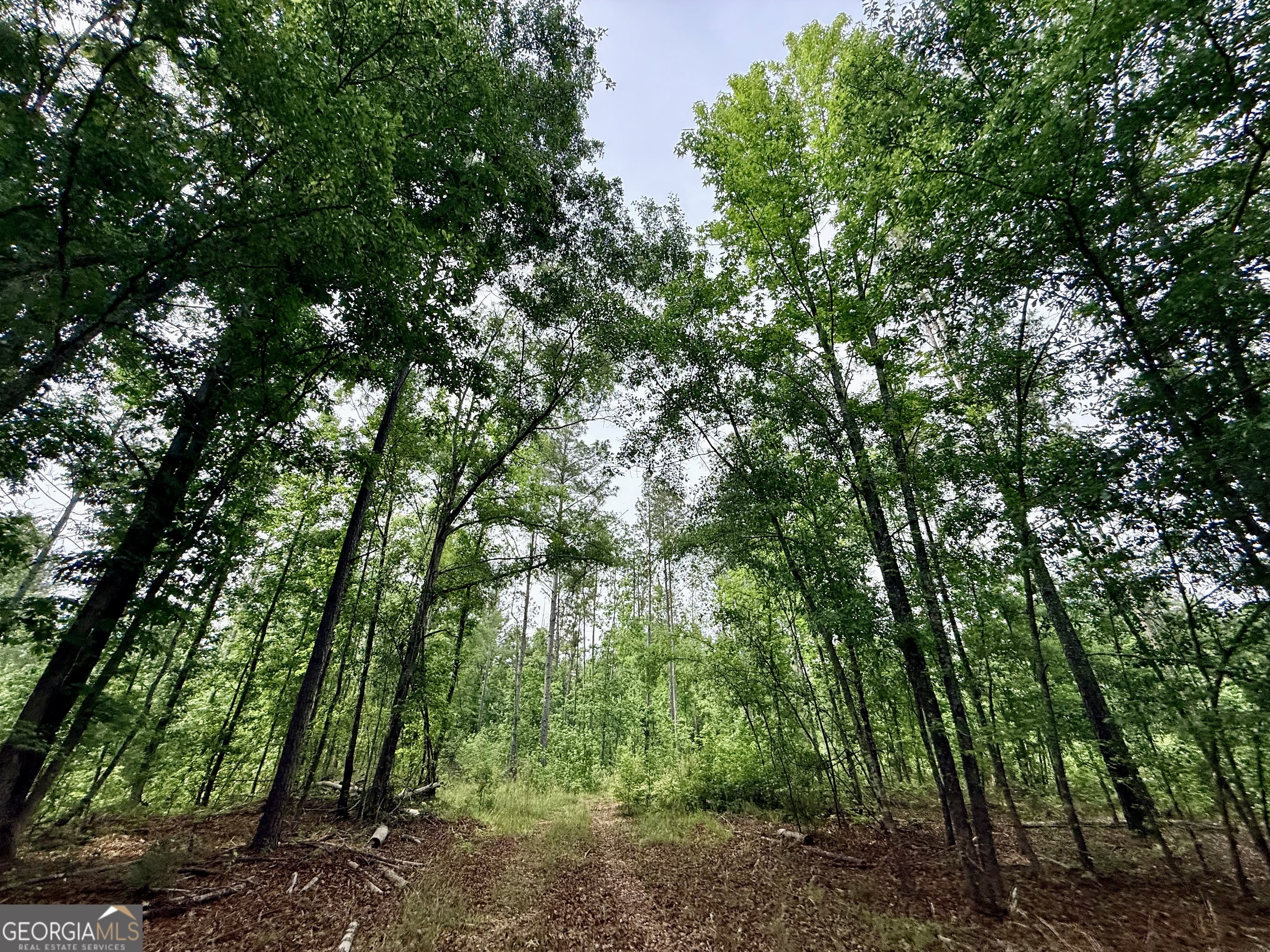 715 Fulsome Creek Road Property Photo 86