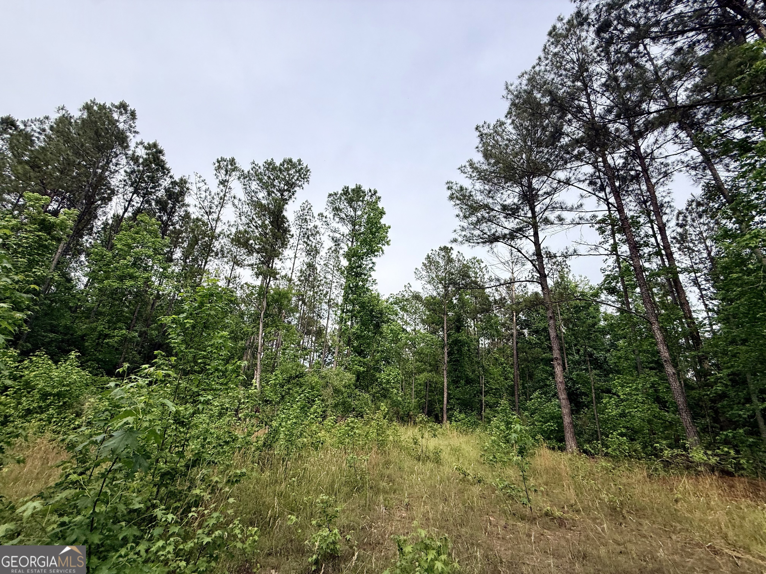 715 Fulsome Creek Road Property Photo 87