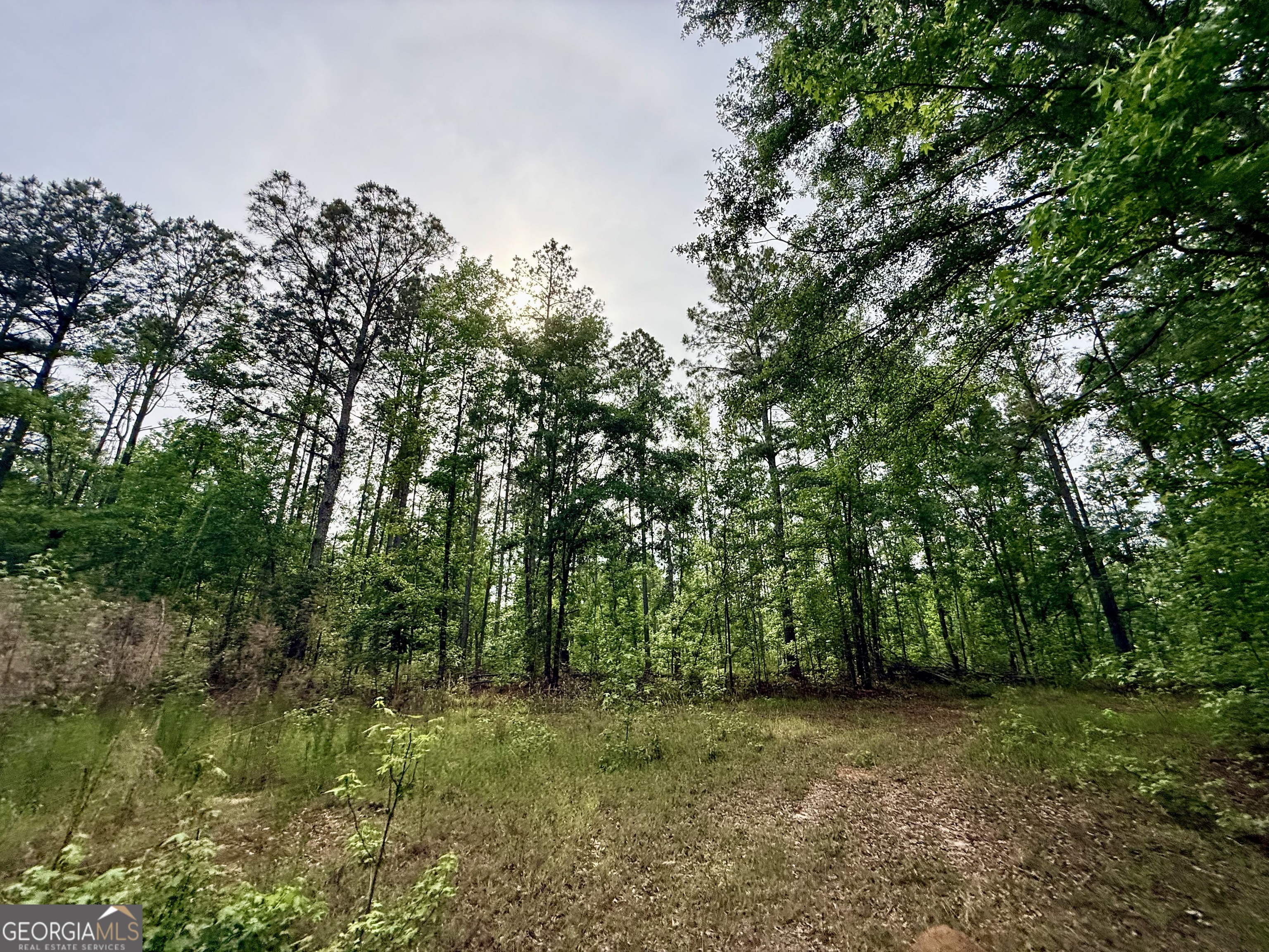 715 Fulsome Creek Road Property Photo 89