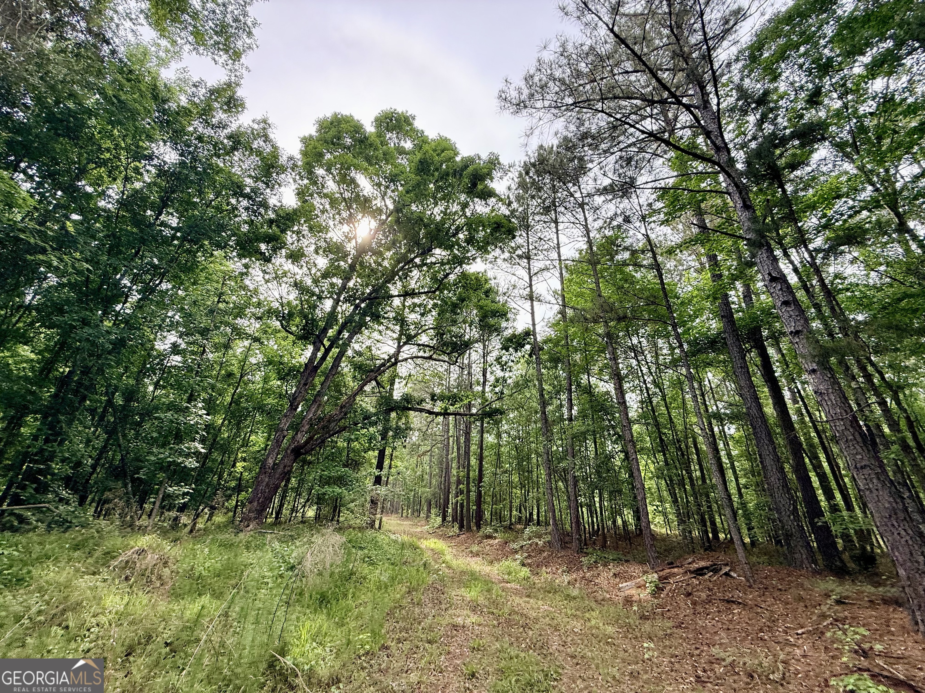 715 Fulsome Creek Road Property Photo 95
