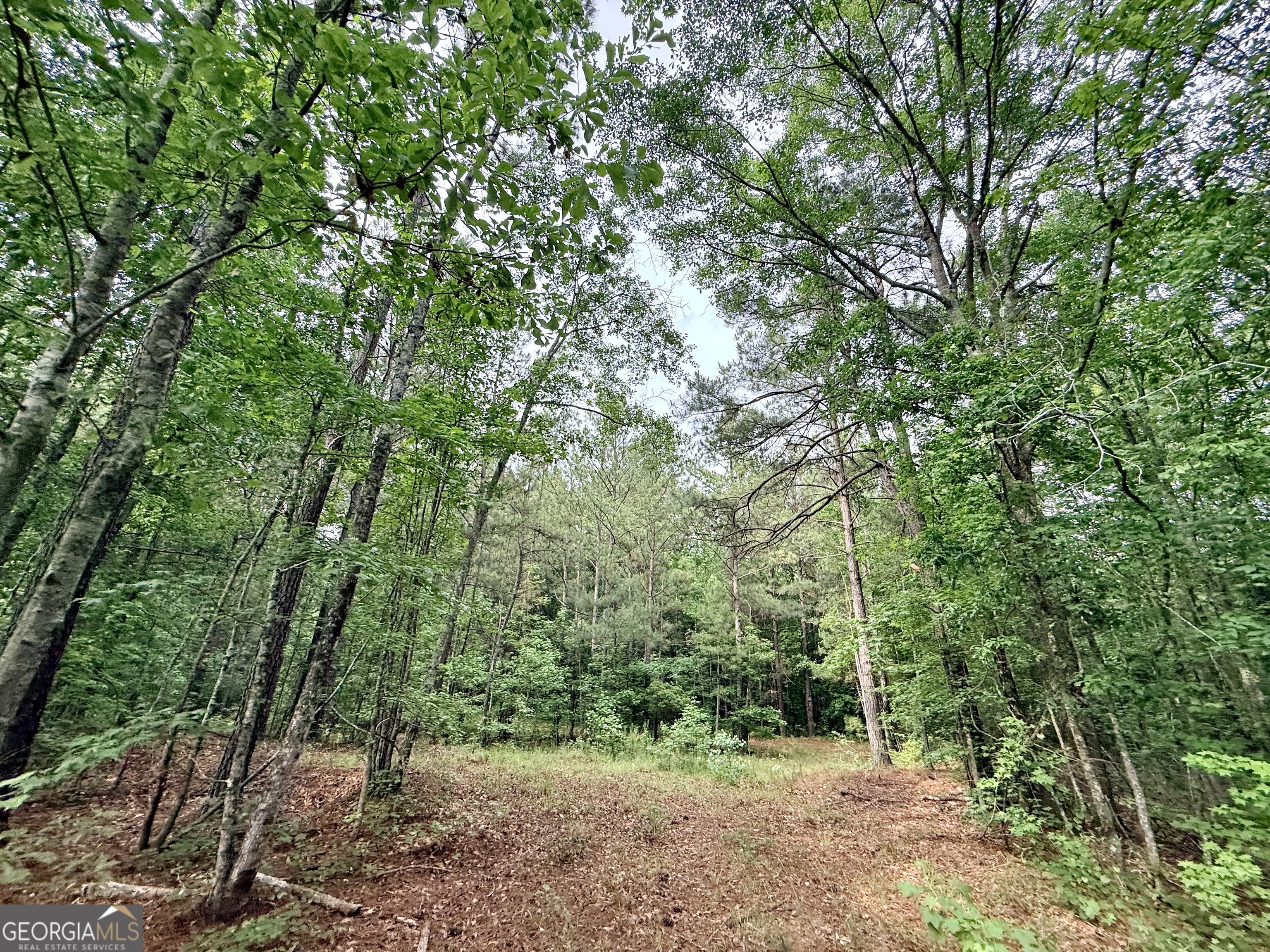 715 Fulsome Creek Road Property Photo 96