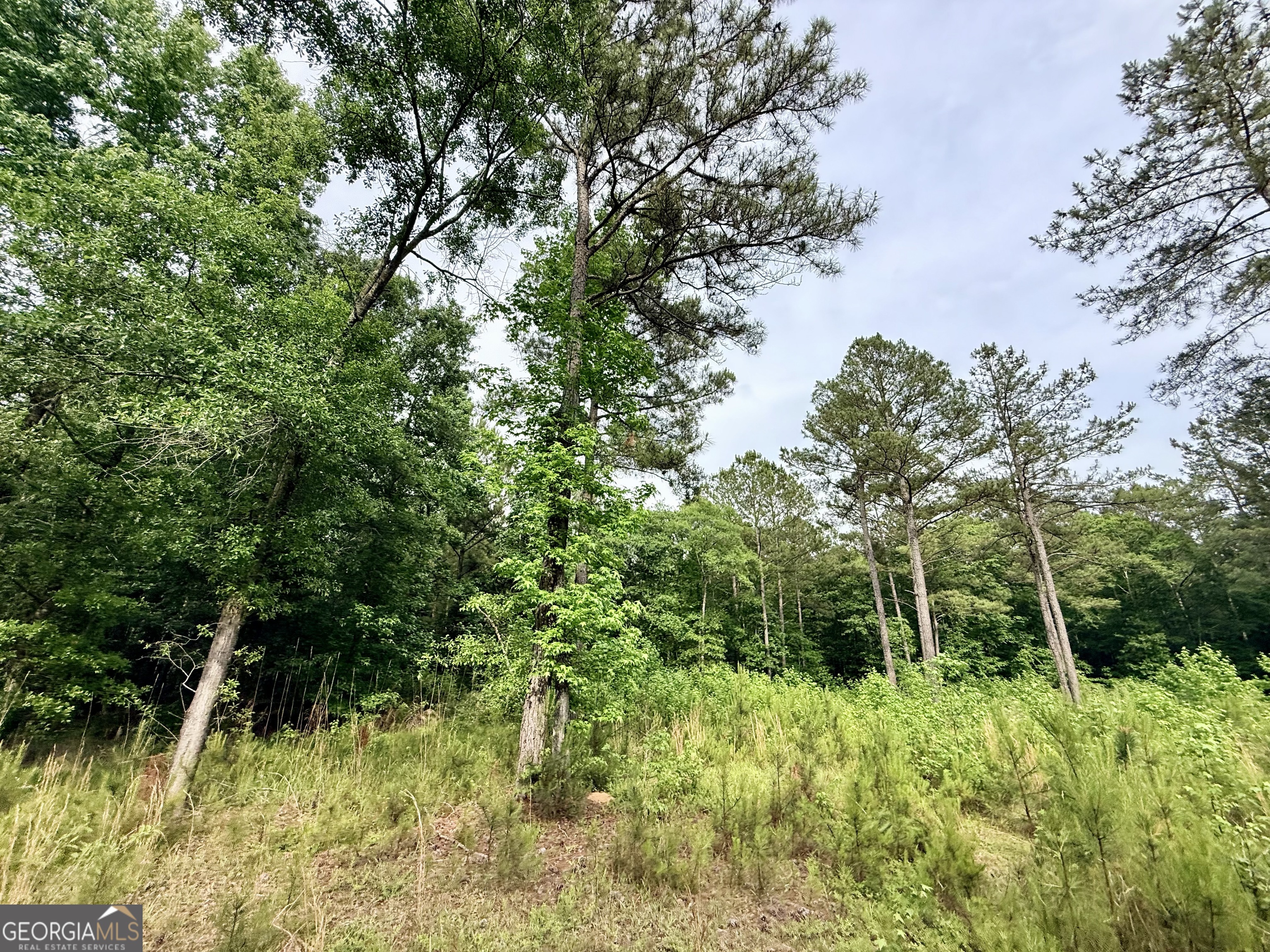715 Fulsome Creek Road Property Photo 97
