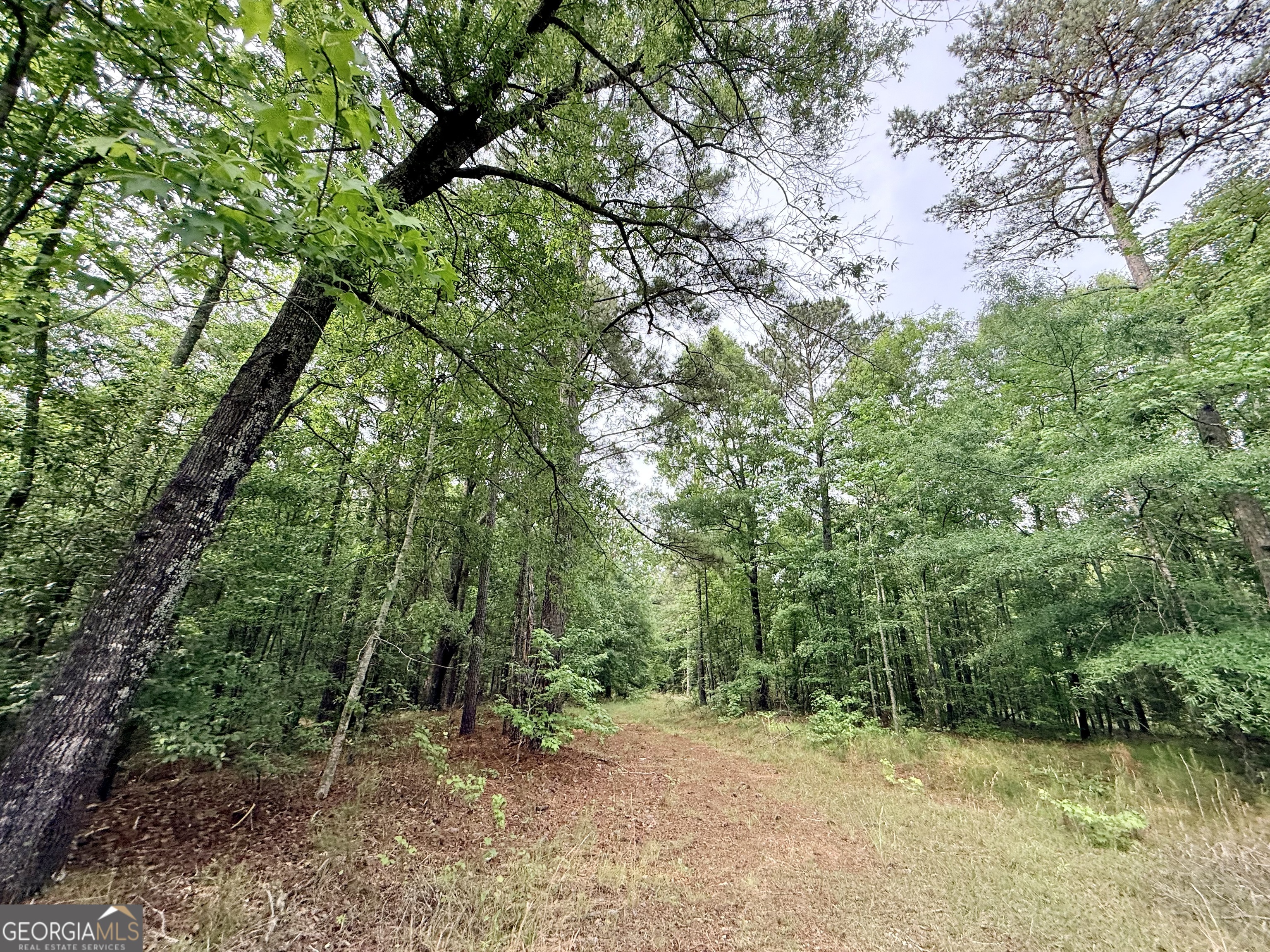 715 Fulsome Creek Road Property Photo 100