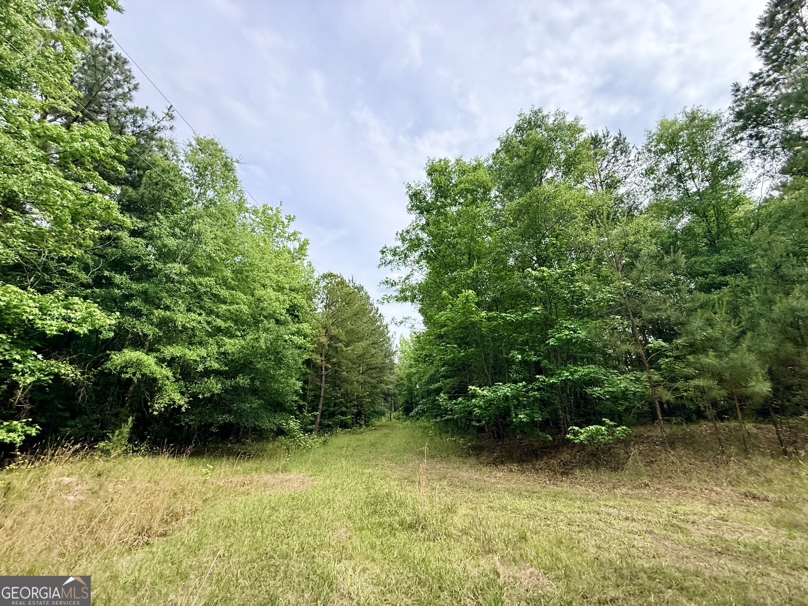 715 Fulsome Creek Road Property Photo 102
