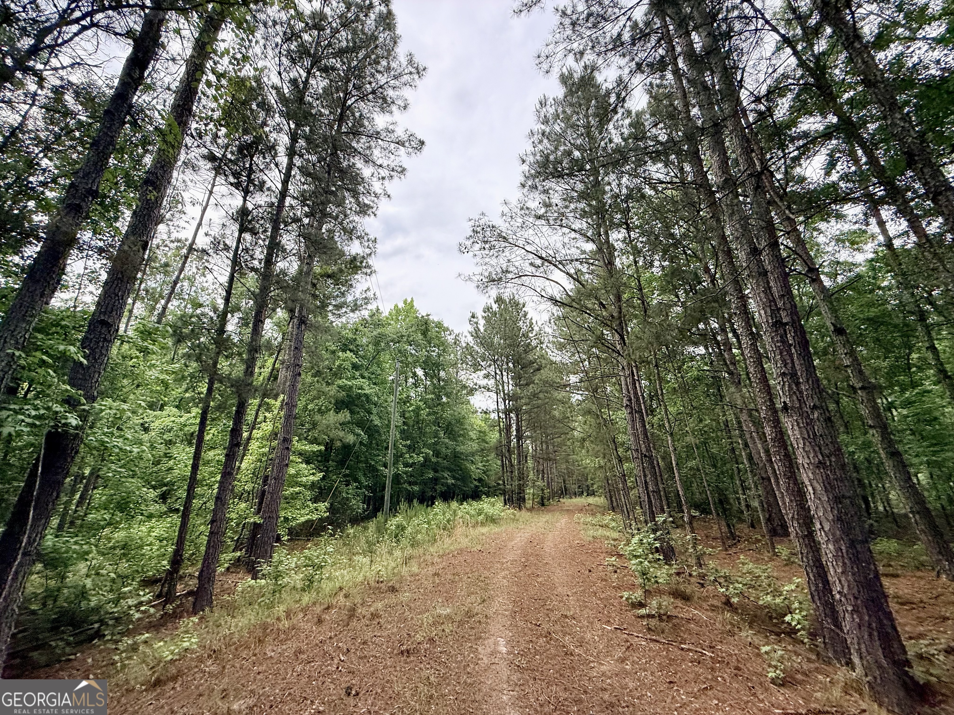 715 Fulsome Creek Road Property Photo 103