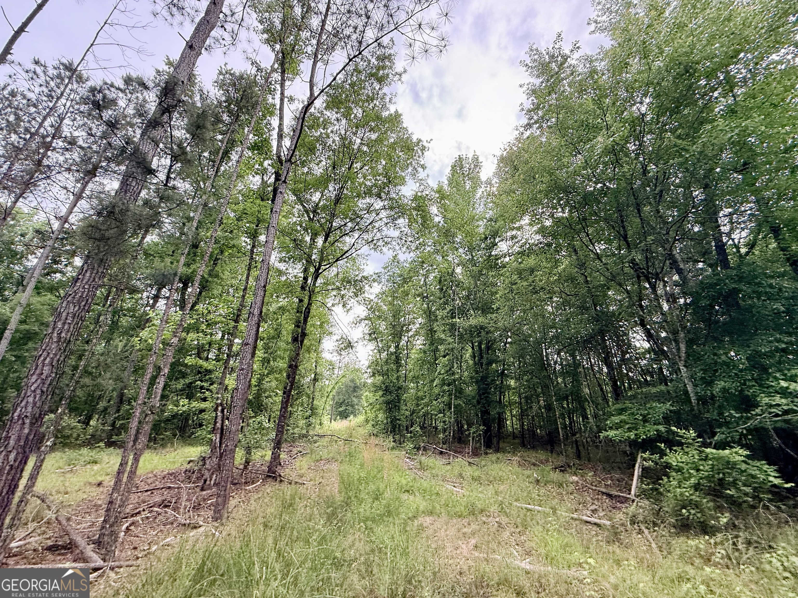 715 Fulsome Creek Road Property Photo 104