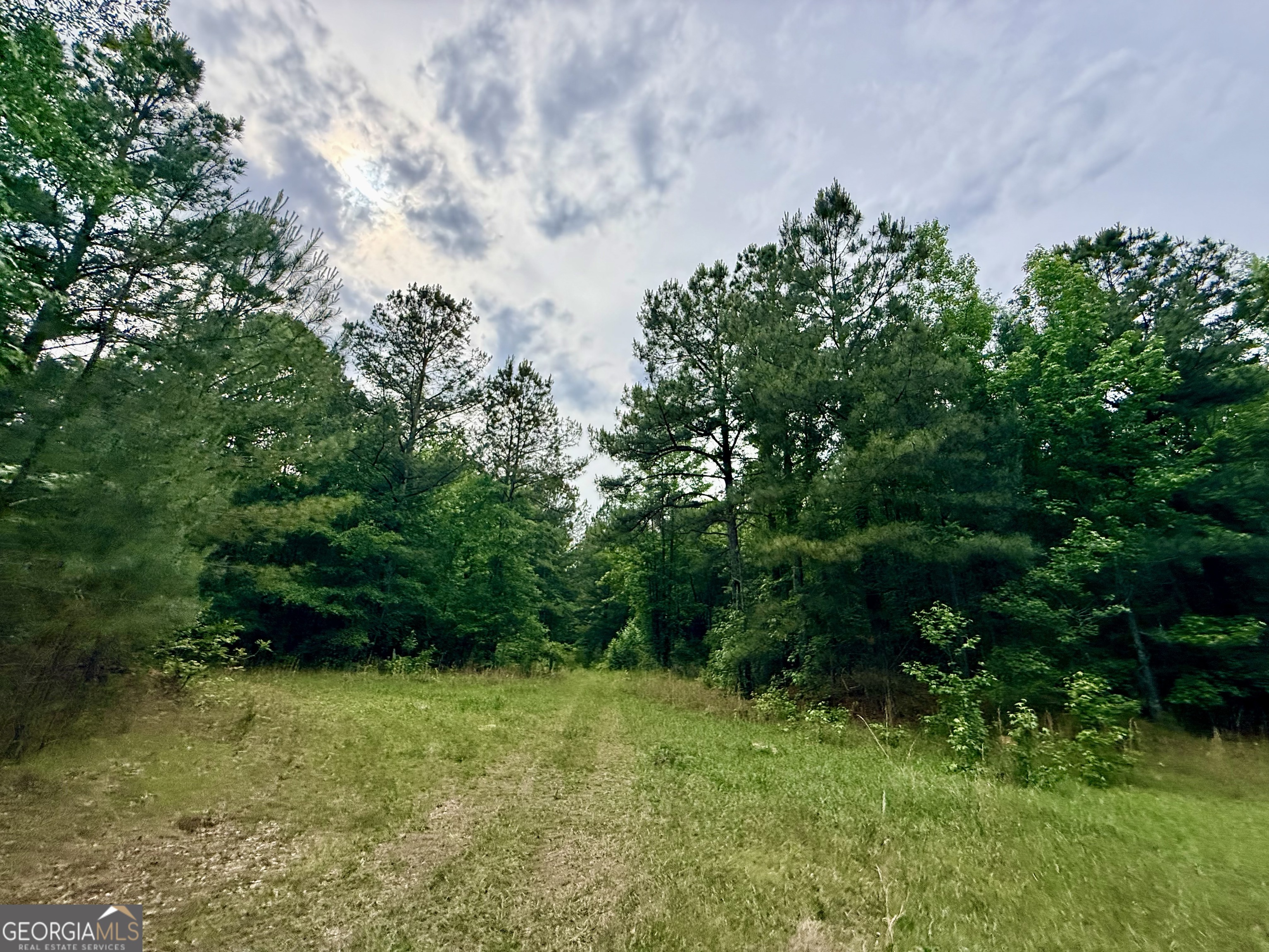 715 Fulsome Creek Road Property Photo 105