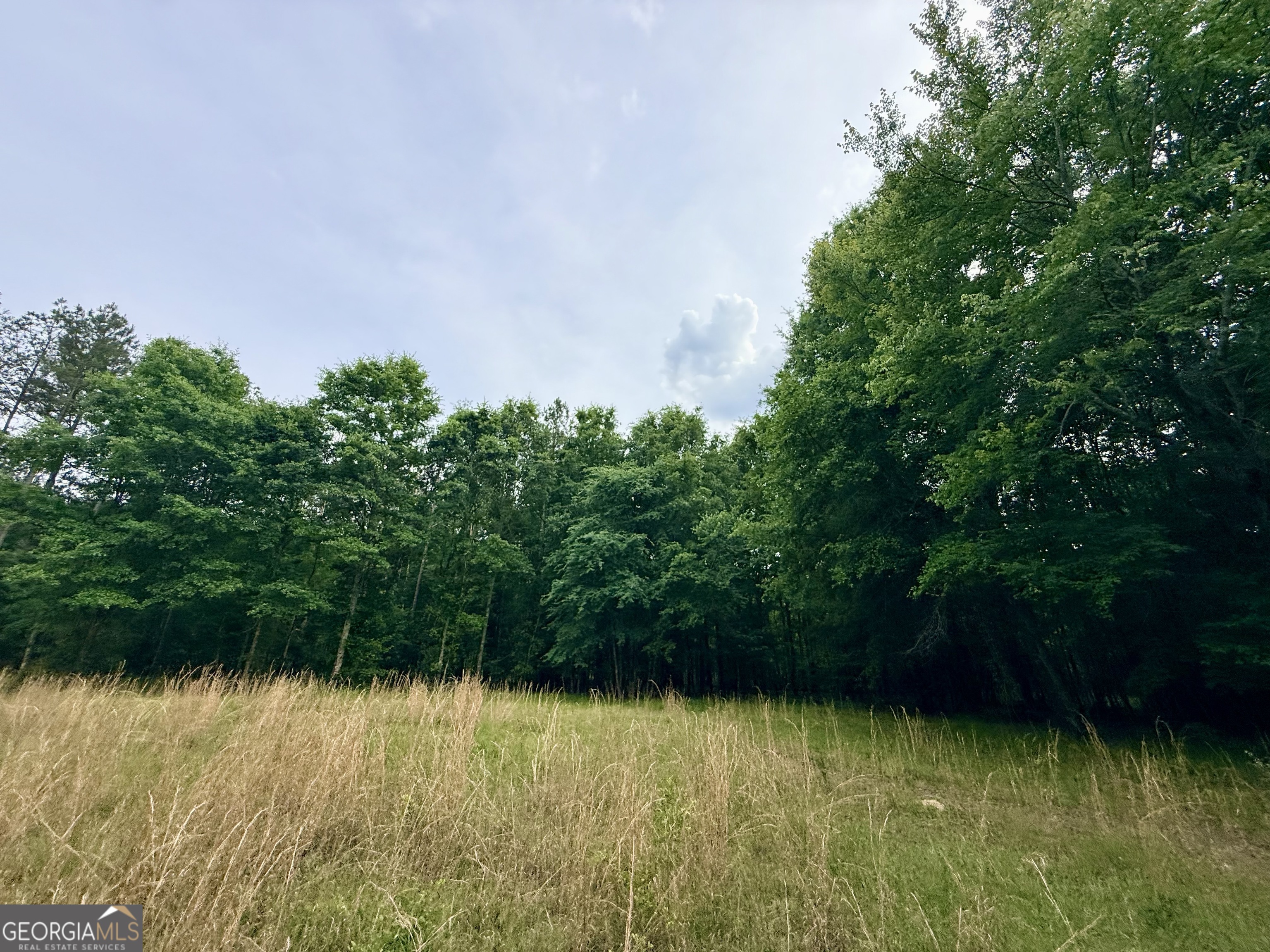 715 Fulsome Creek Road Property Photo 106