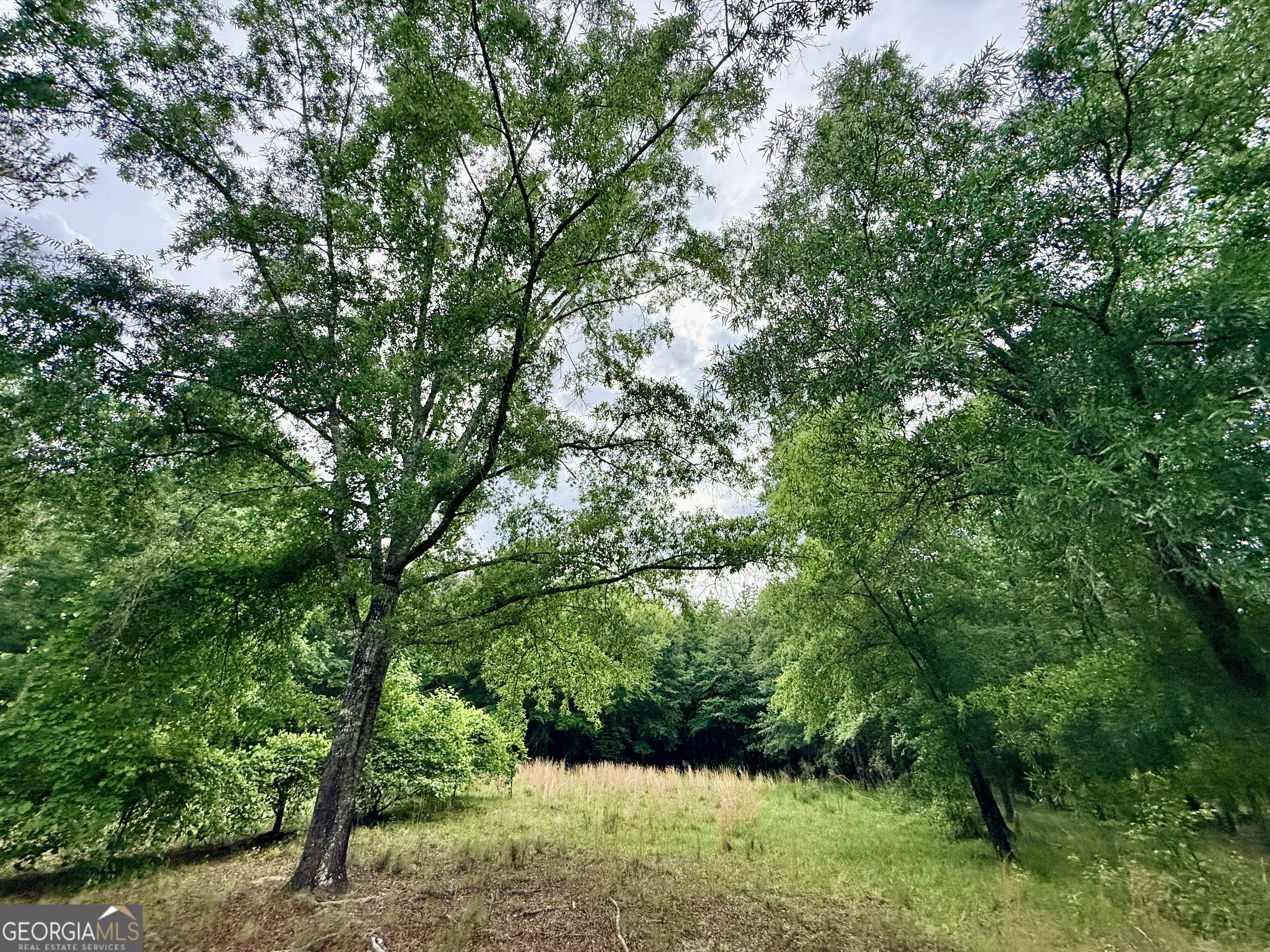 715 Fulsome Creek Road Property Photo 107