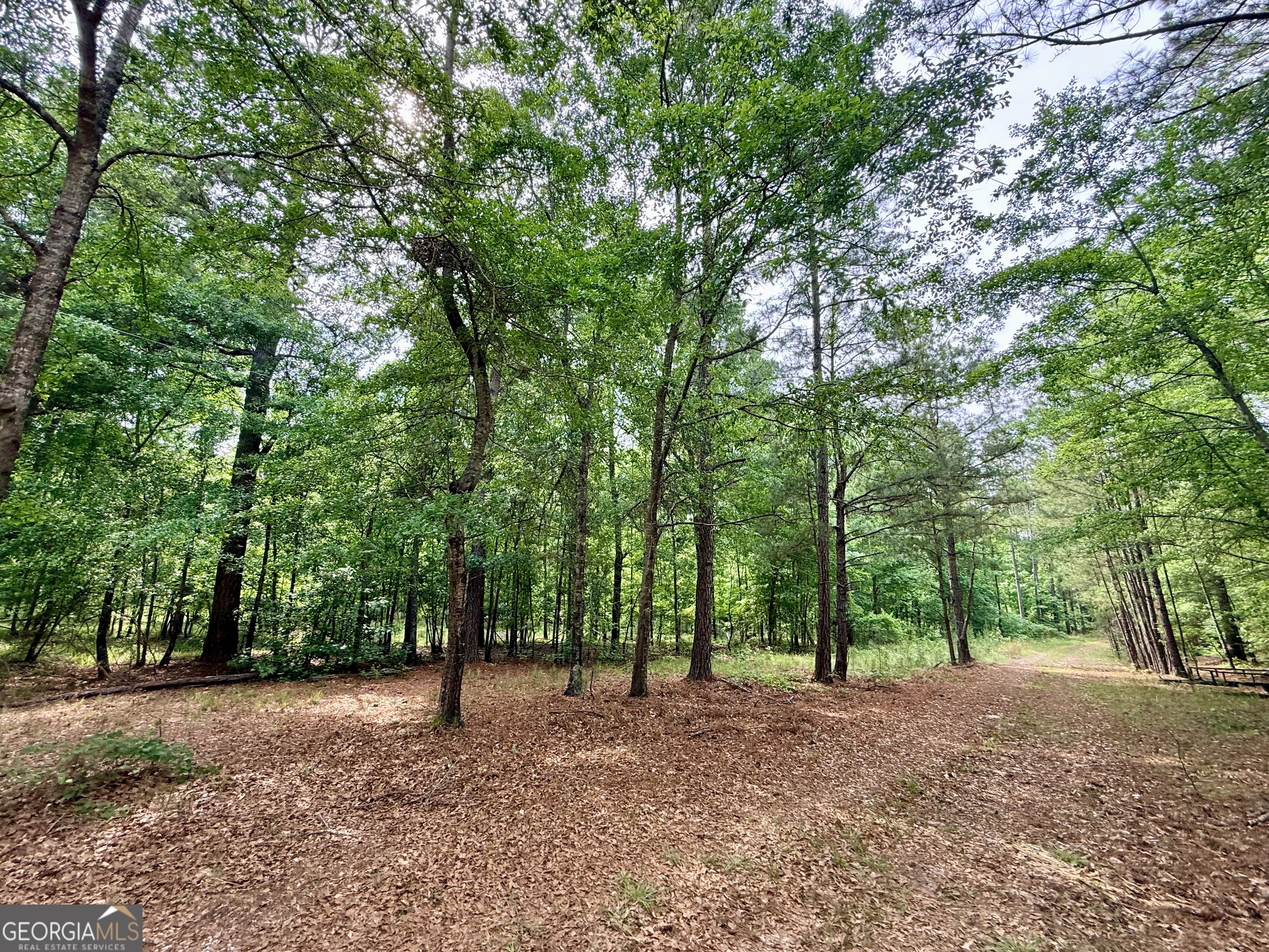 715 Fulsome Creek Road Property Photo 110