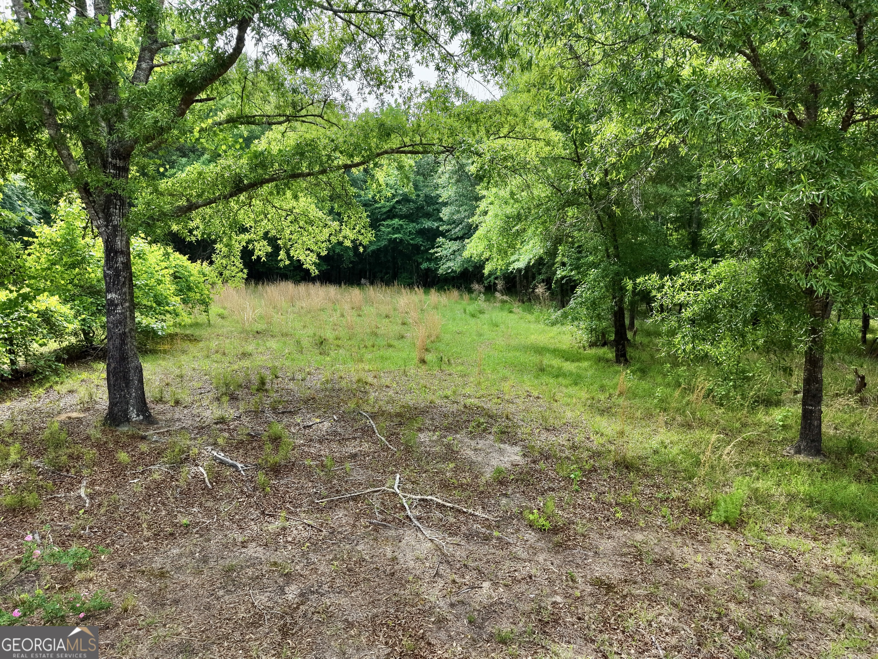 715 Fulsome Creek Road Property Photo 111