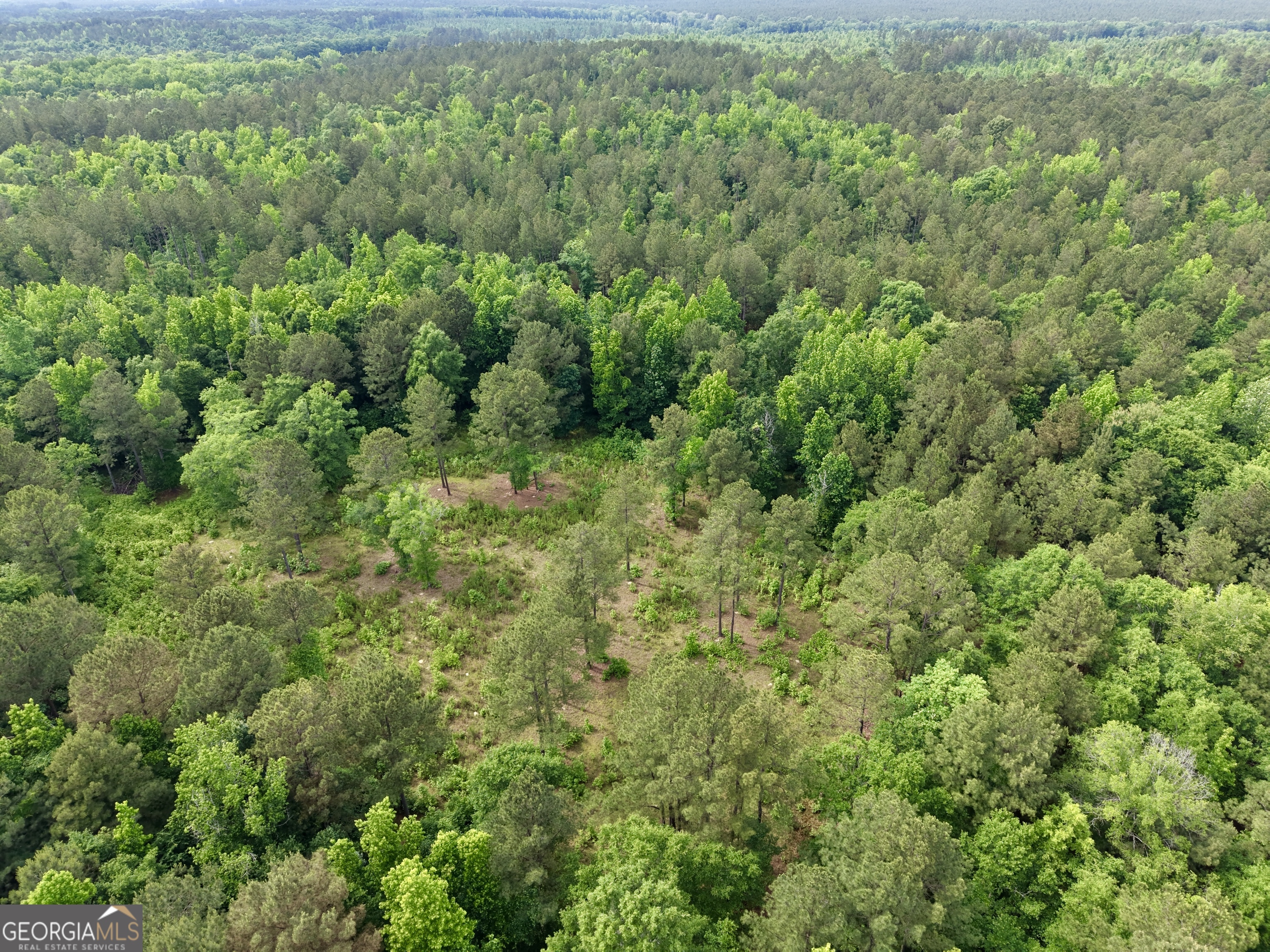 715 Fulsome Creek Road Property Photo 112