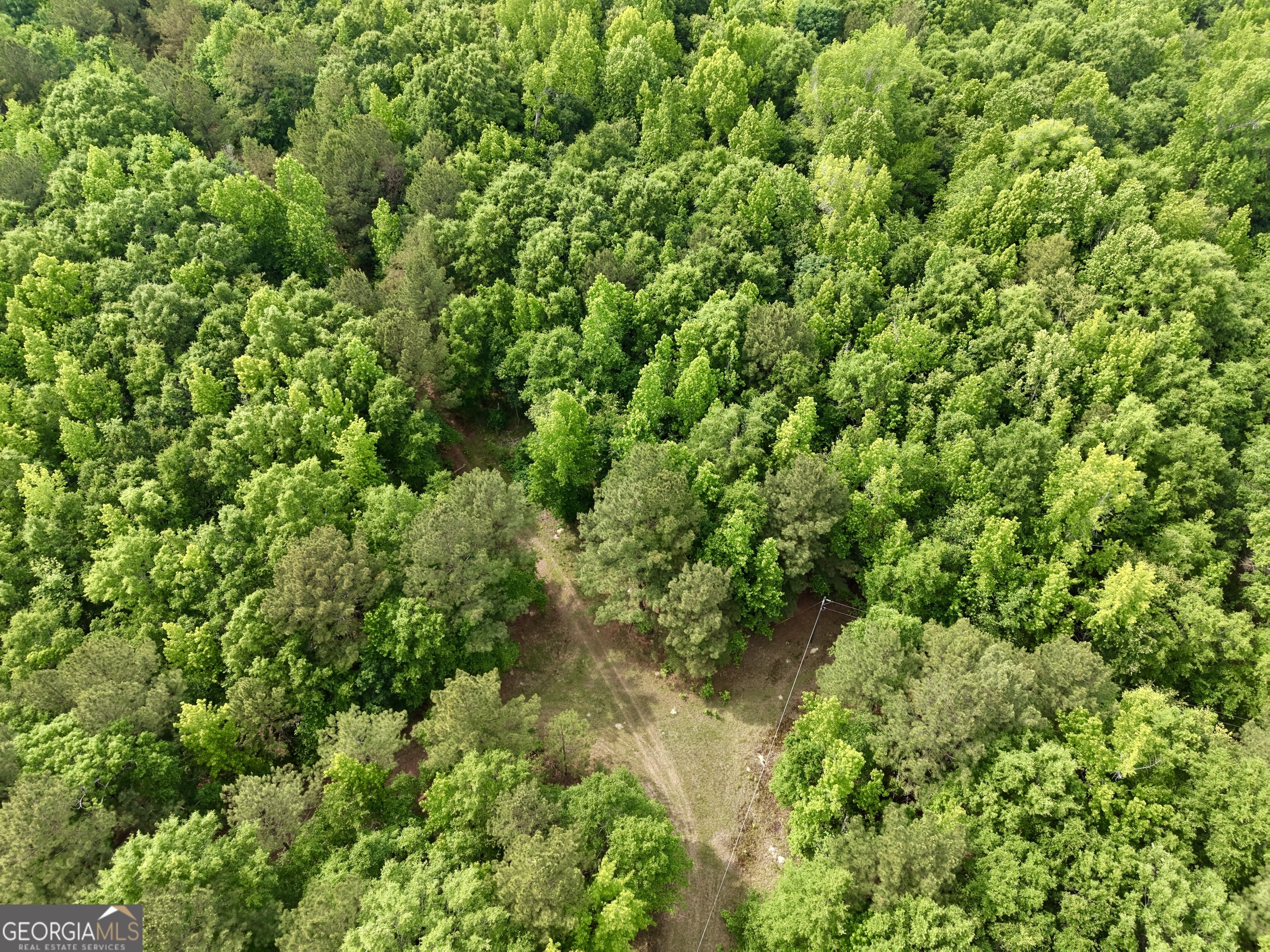 715 Fulsome Creek Road Property Photo 113
