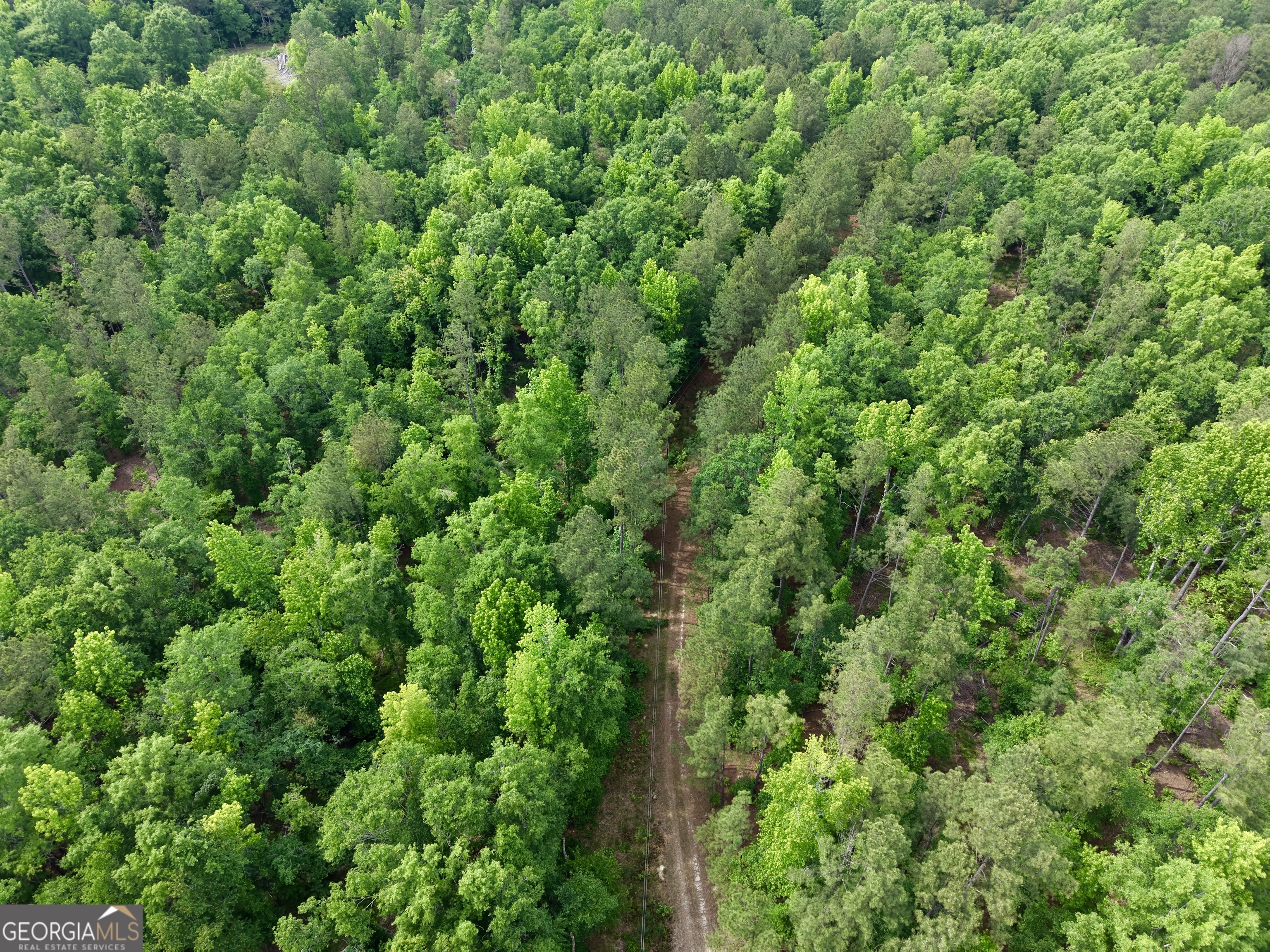 715 Fulsome Creek Road Property Photo 114