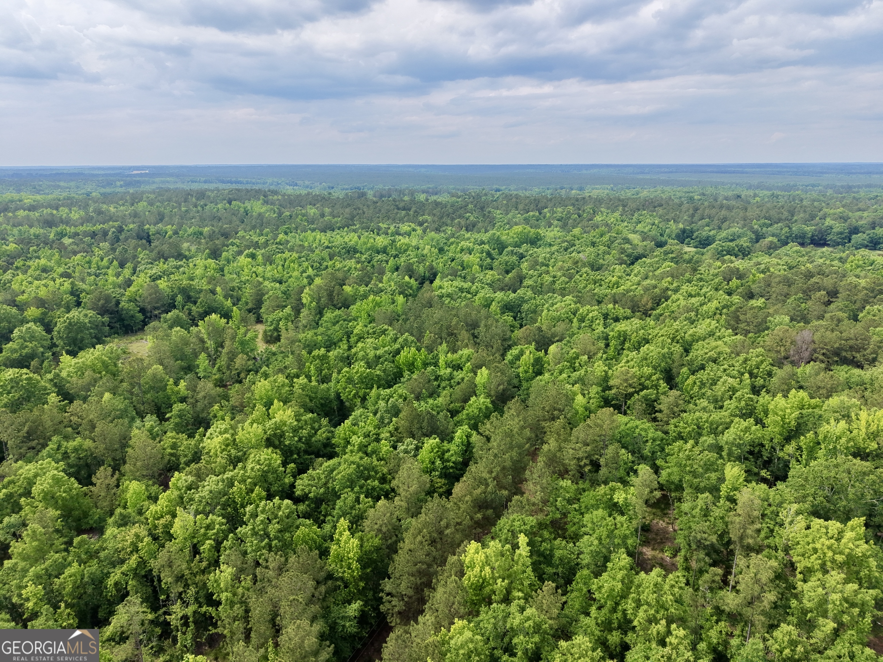 715 Fulsome Creek Road Property Photo 116