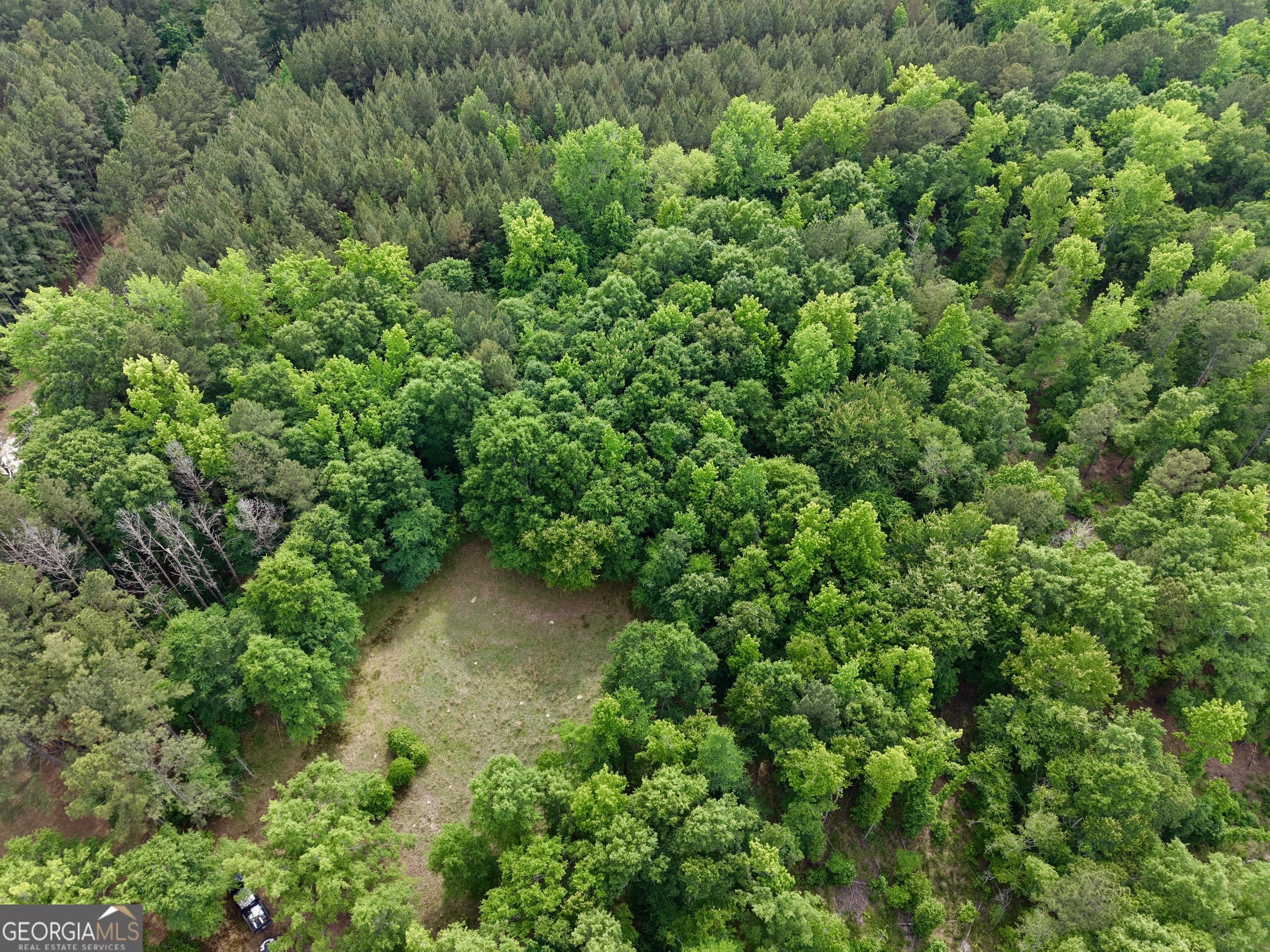 715 Fulsome Creek Road Property Photo 117