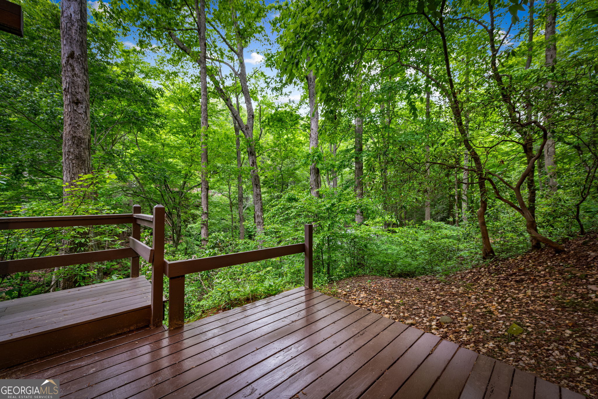 4396 Highway 382 W Property Photo 69