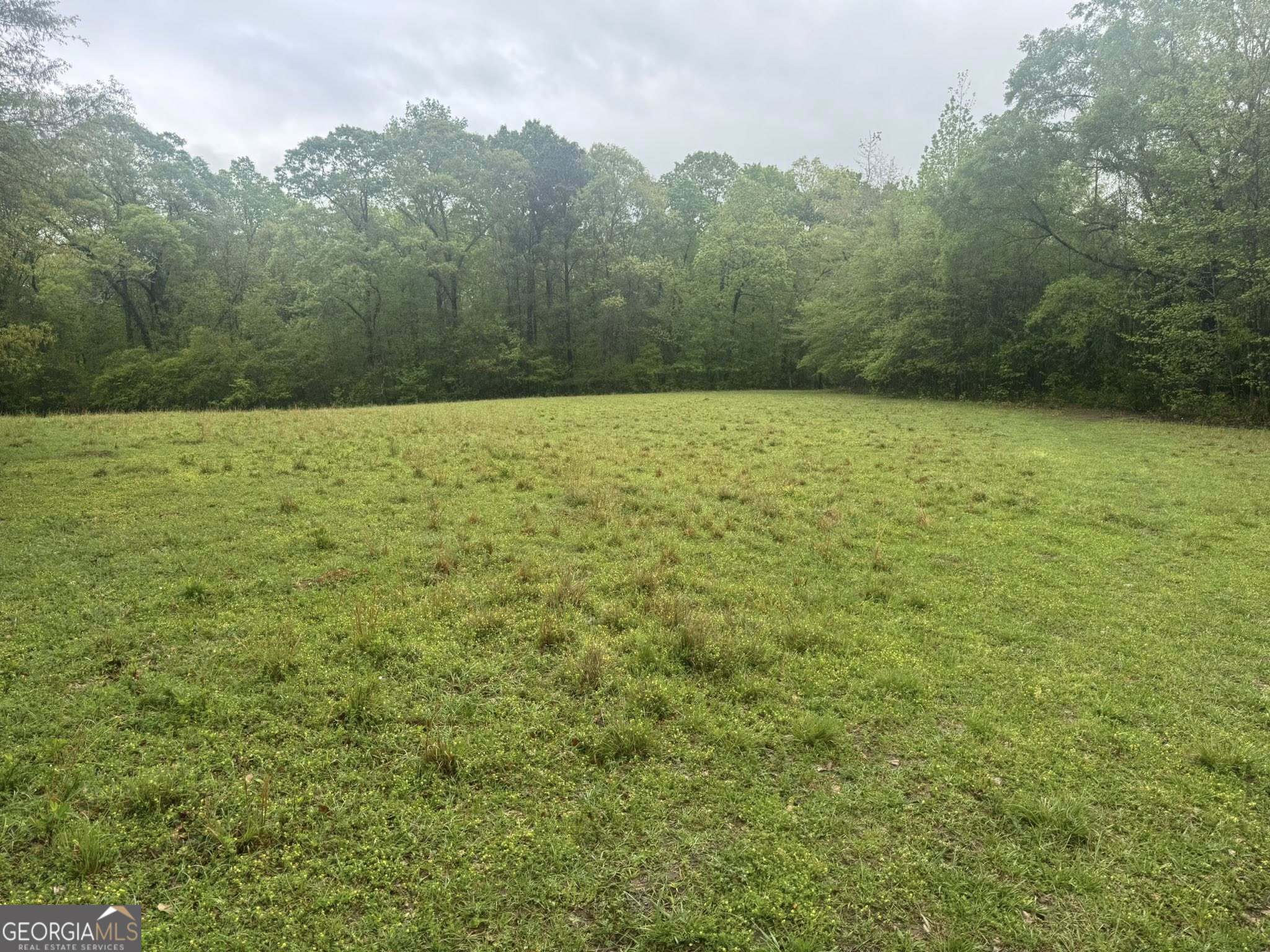 48.04 Acres Caldwell Road Property Photo 4