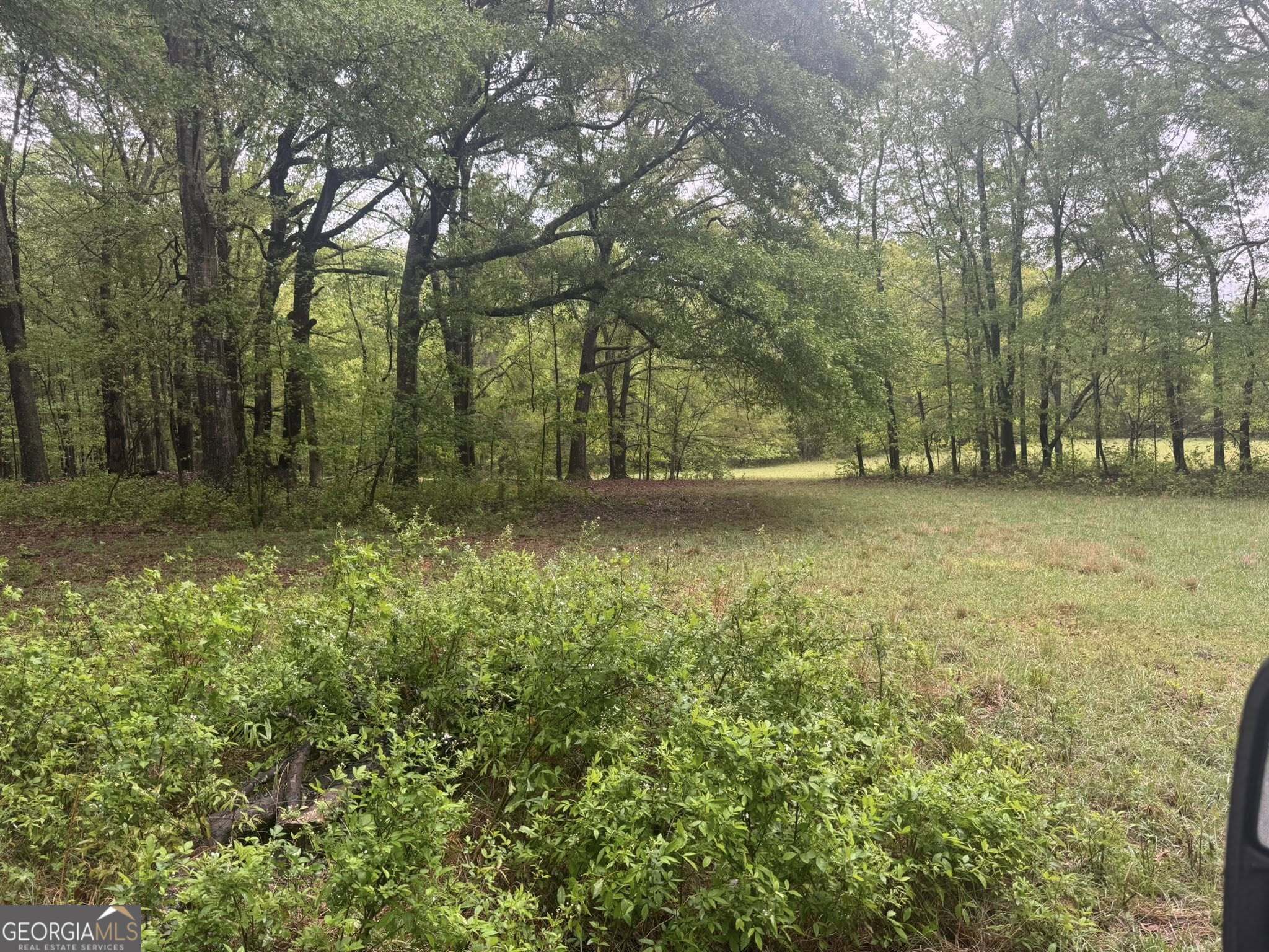 48.04 Acres Caldwell Road Property Photo 5