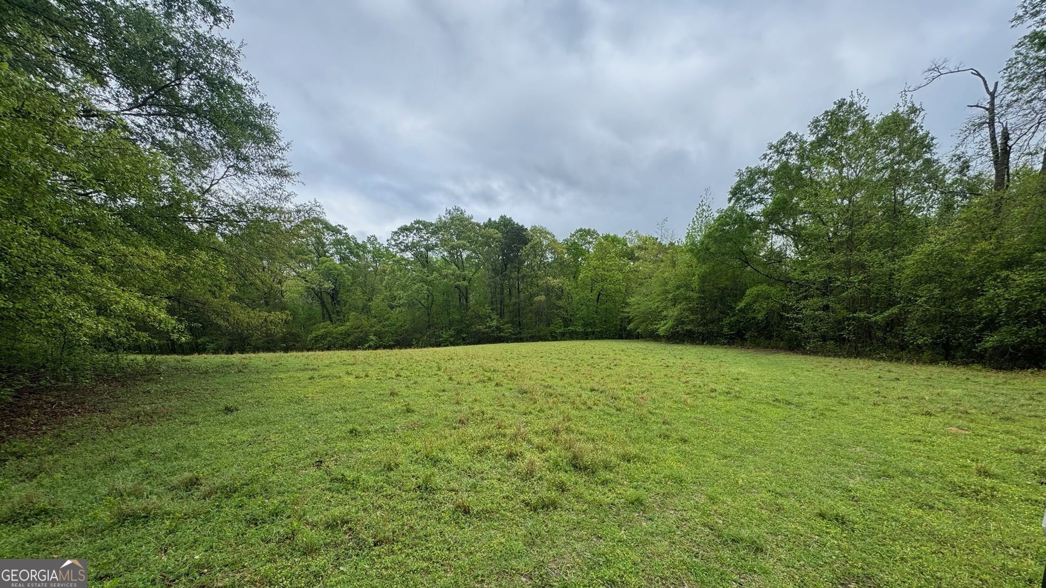 48.04 Acres Caldwell Road Property Photo 6