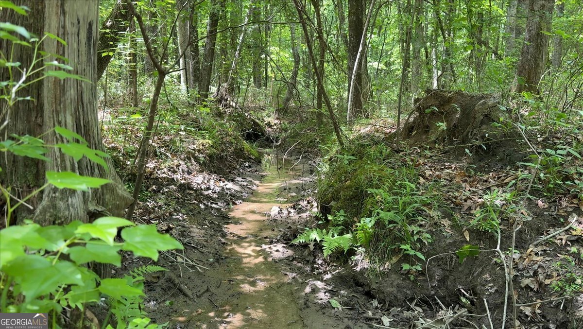 48.04 Acres Caldwell Road Property Photo 8