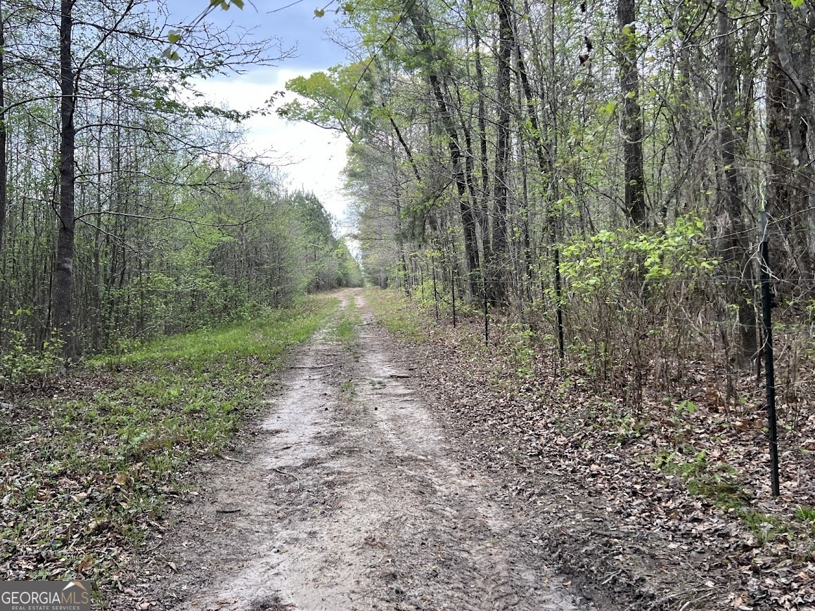 48.04 Acres Caldwell Road Property Photo 9