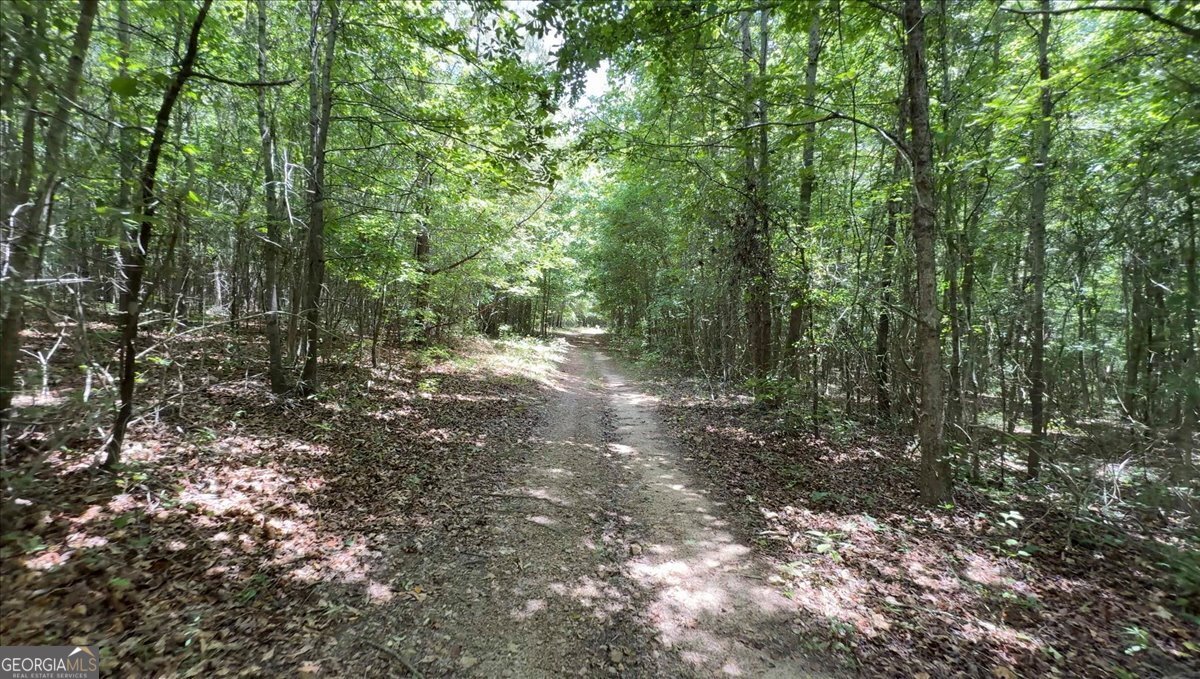 48.04 Acres Caldwell Road Property Photo 10