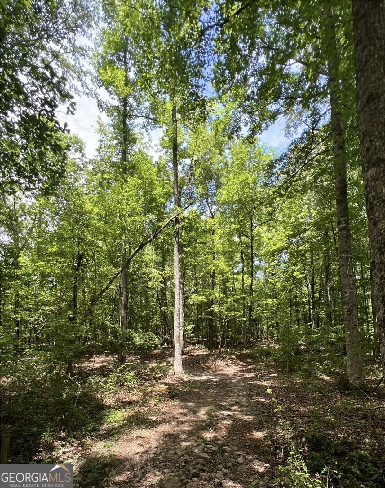 48.04 Acres Caldwell Road Property Photo 11