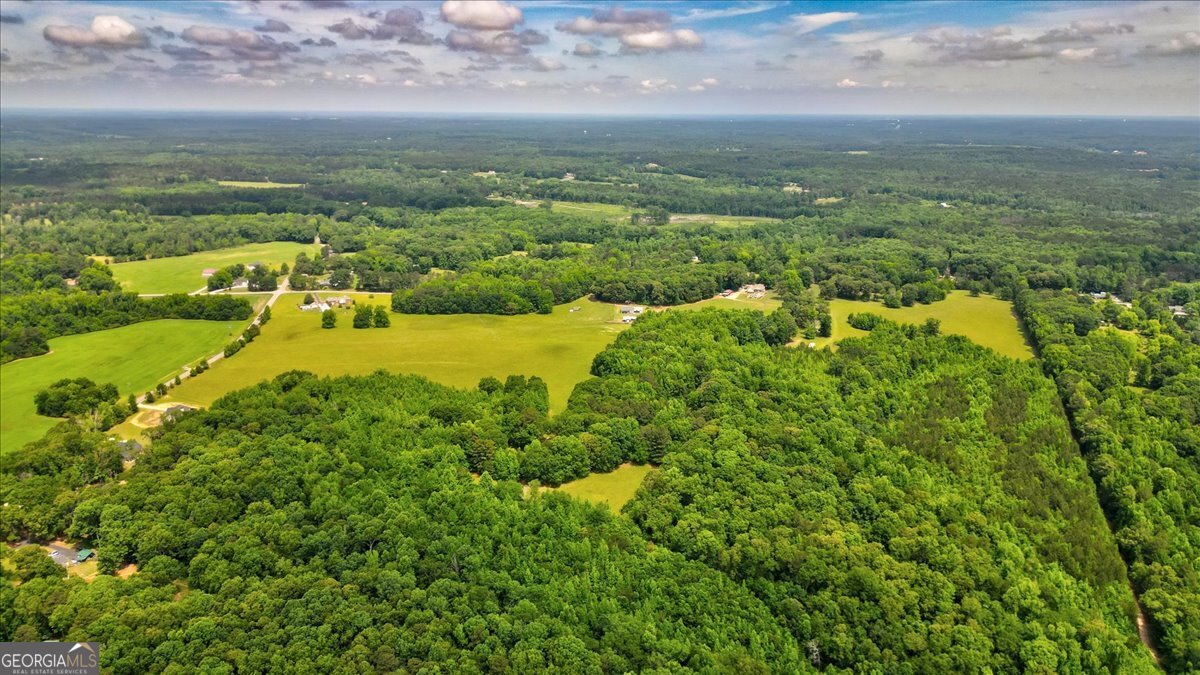 48.04 Acres Caldwell Road Property Photo 15